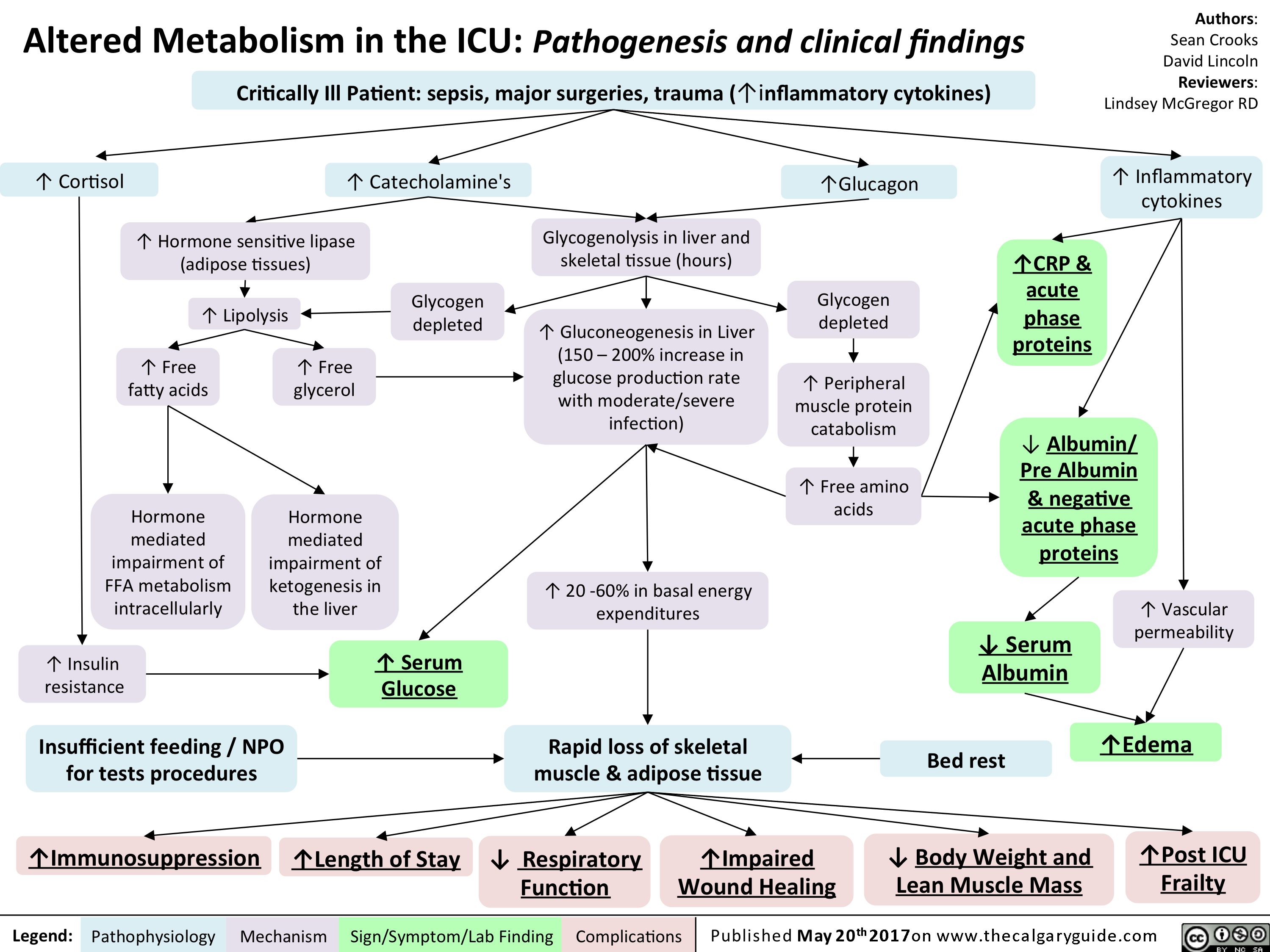 Altered Metabolism In The Icu Pathogenesis And Clinical Findings