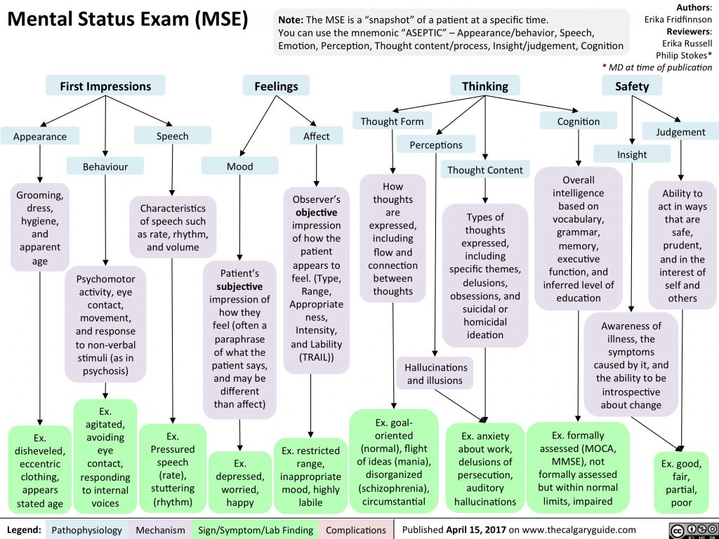 mental-status-exam-mse-calgary-guide