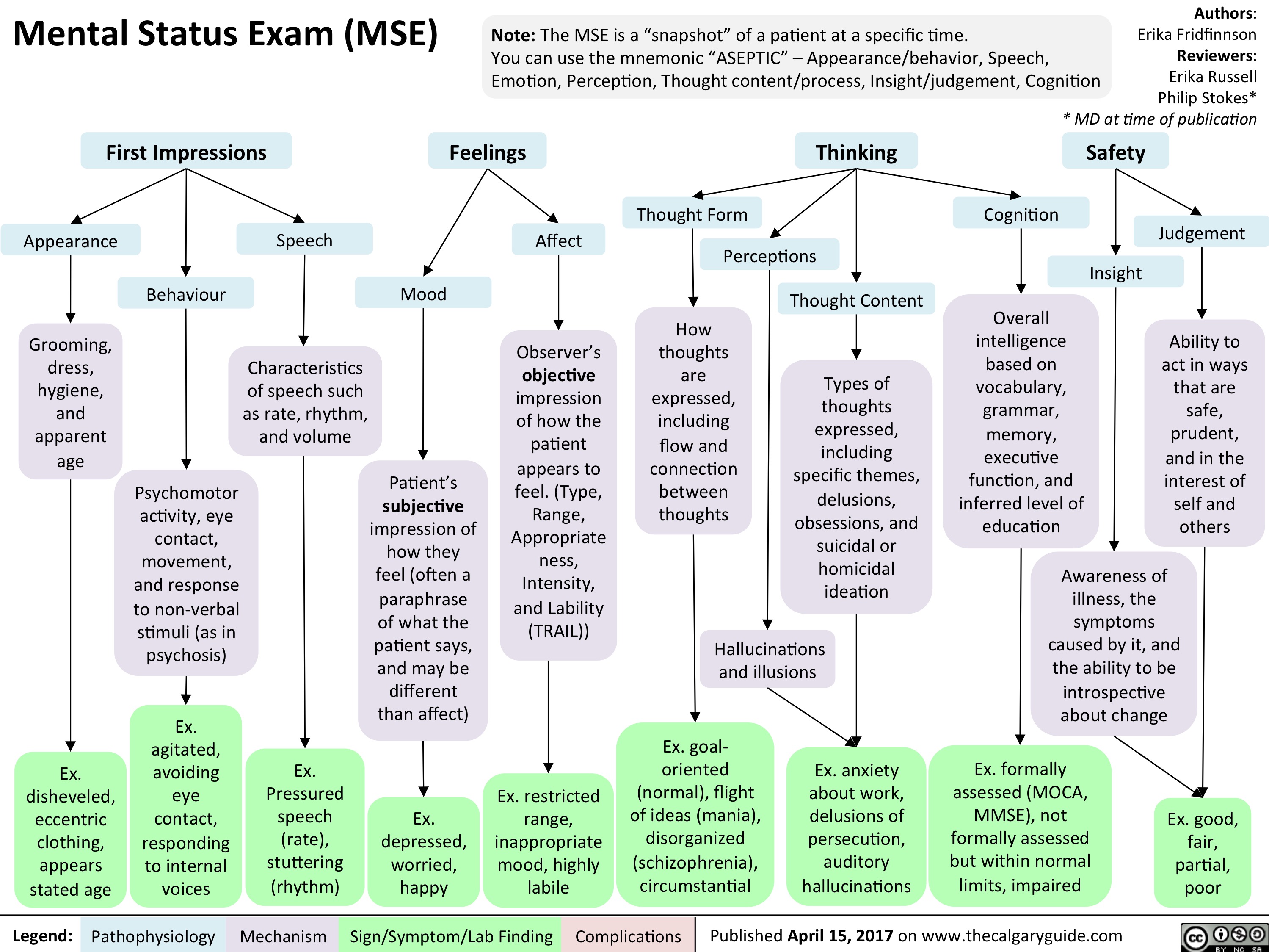 Mental Status Exam Mse Calgary Guide