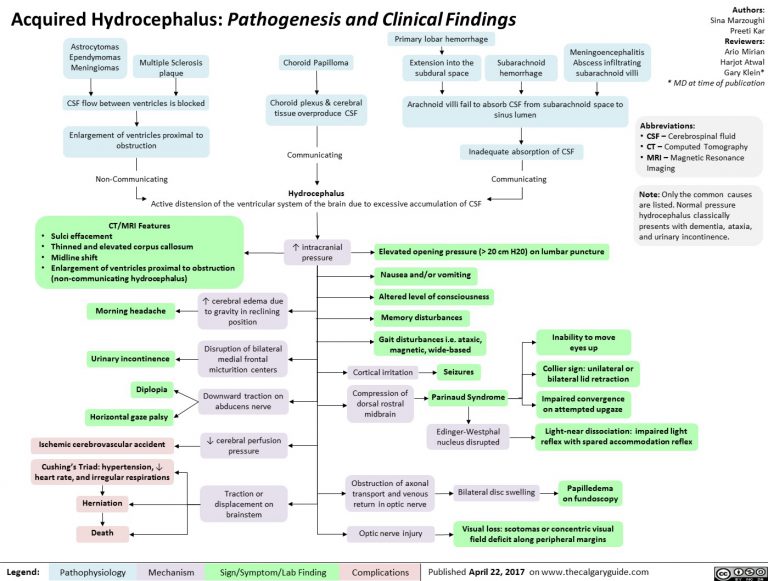 Acquired Hydrocephalus: Pathogenesis and Clinical Findings | Calgary Guide