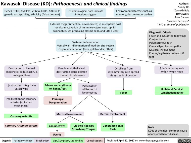 Kawasaki Disease: Clinical Findings | Calgary Guide