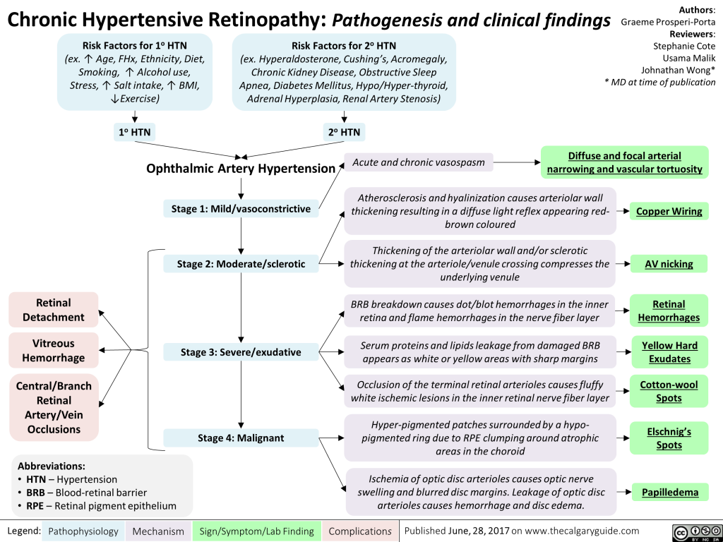 symptoms-of-hypertensive-heart-disease-youtube