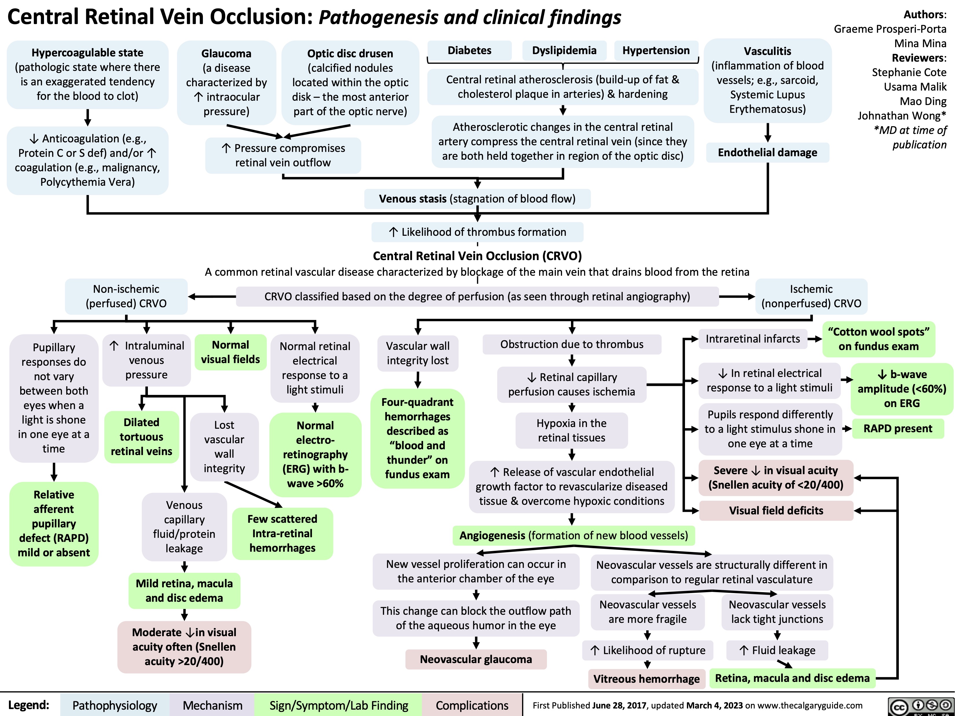 Central Retinal Vein Occlusion: Pathogenesis and clinical findings
Authors: Graeme Prosperi-Porta Mina Mina Reviewers: Stephanie Cote Usama Malik Mao Ding Johnathan Wong* *MD at time of publication
       Hypercoagulable state
(pathologic state where there is an exaggerated tendency for the blood to clot)
↓ Anticoagulation (e.g., Protein C or S def) and/or ↑ coagulation (e.g., malignancy, Polycythemia Vera)
Non-ischemic (perfused) CRVO
Glaucoma
(a disease characterized by ↑ intraocular pressure)
Optic disc drusen
(calcified nodules located within the optic disk – the most anterior part of the optic nerve)
Diabetes
Dyslipidemia
Hypertension
Vasculitis
(inflammation of blood vessels; e.g., sarcoid, Systemic Lupus Erythematosus)
Endothelial damage
       Pupillary responses do not vary between both eyes when a light is shone in one eye at a time
Relative afferent pupillary defect (RAPD) mild or absent
Lost vascular wall integrity
Normal retinal electrical response to a light stimuli
Normal
electro- retinography (ERG) with b- wave >60%
Few scattered Intra-retinal hemorrhages
↓ In retinal electrical response to a light stimuli
Pupils respond differently to a light stimulus shone in one eye at a time
Severe ↓ in visual acuity (Snellen acuity of <20/400)
Visual field deficits
↓ b-wave amplitude (<60%) on ERG
RAPD present
↑ Pressure compromises retinal vein outflow
Central retinal atherosclerosis (build-up of fat & cholesterol plaque in arteries) & hardening
Atherosclerotic changes in the central retinal artery compress the central retinal vein (since they are both held together in region of the optic disc)
Venous stasis (stagnation of blood flow) ↑ Likelihood of thrombus formation
Central Retinal Vein Occlusion (CRVO)
      A common retinal vascular disease characterized by blockage of the main vein that drains blood from the retina
CRVO classified based on the degree of perfusion (as seen through retinal angiography)
Ischemic (nonperfused) CRVO
              ↑ Intraluminal venous pressure
Dilated tortuous retinal veins
Normal visual fields
Vascular wall integrity lost
Four-quadrant hemorrhages described as “blood and thunder” on fundus exam
Obstruction due to thrombus
↓ Retinal capillary perfusion causes ischemia
Hypoxia in the retinal tissues
↑ Release of vascular endothelial growth factor to revascularize diseased tissue & overcome hypoxic conditions
Angiogenesis (formation of new blood vessels)
Intraretinal infarcts
“Cotton wool spots” on fundus exam
                 Venous capillary fluid/protein leakage
Mild retina, macula and disc edema
Moderate ↓in visual acuity often (Snellen acuity >20/400)
New vessel proliferation can occur in the anterior chamber of the eye
This change can block the outflow path of the aqueous humor in the eye
Neovascular glaucoma
Neovascular vessels are structurally different in comparison to regular retinal vasculature
          Neovascular vessels are more fragile
↑ Likelihood of rupture Vitreous hemorrhage
Neovascular vessels lack tight junctions
    ↑ Fluid leakage
Retina, macula and disc edema
    Legend:
 Pathophysiology
Mechanism
Sign/Symptom/Lab Finding
 Complications
 First Published June 28, 2017, updated March 4, 2023 on www.thecalgaryguide.com
   
