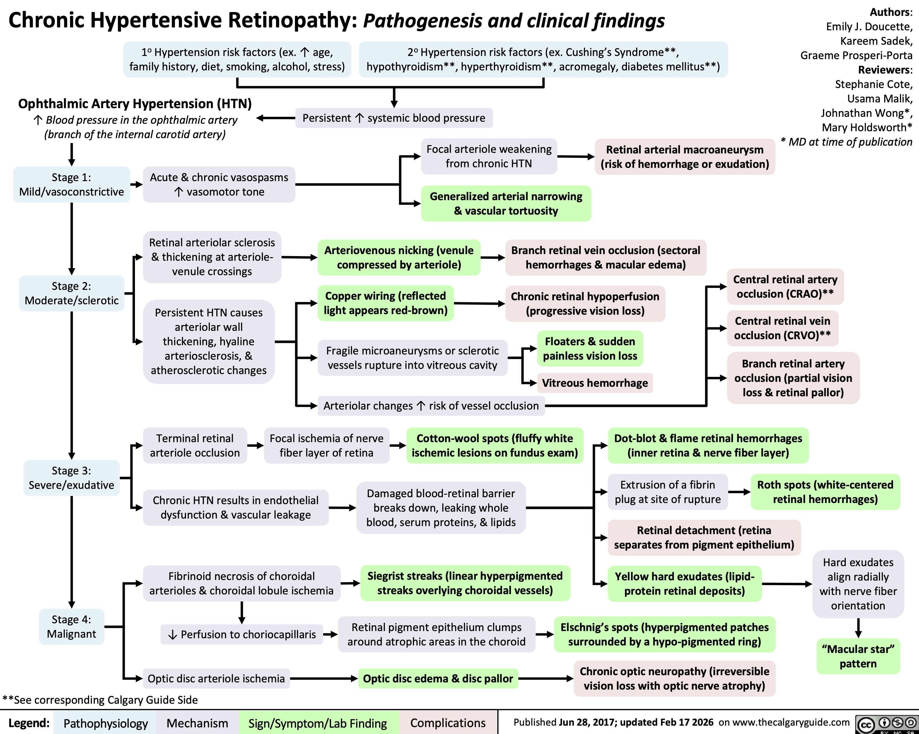 Stage 4:
Malignant
Fibrinoid necrosis of choroidal
arterioles & choroidal lobule ischemia
↓ Perfusion to choriocapillaris
Optic disc arteriole ischemia **See corresponding Calgary Guide Side
Legend: Pathophysiology Sign/Symptom/Lab Finding
Chronic Hypertensive Retinopathy: Pathogenesis and clinical findings
1o Hypertension risk factors (ex. ↑ age,
family history, diet, smoking, alcohol, stress)
2o Hypertension risk factors (ex. Cushing’s Syndrome**,
hypothyroidism**, hyperthyroidism**, acromegaly, diabetes mellitus**)
Ophthalmic Artery Hypertension (HTN)
↑ Blood pressure in the ophthalmic artery
(branch of the internal carotid artery)
Persistent ↑ systemic blood pressure
Authors:
Emily J. Doucette,
Kareem Sadek,
Graeme Prosperi-Porta
Reviewers:
Stephanie Cote,
Usama Malik,
Johnathan Wong*,
Mary Holdsworth*
* MD at time of publication
Stage 1:
Mild/vasoconstrictive
Stage 2:
Moderate/sclerotic
Stage 3:
Severe/exudative
Focal arteriole weakening
from chronic HTN
Retinal arterial macroaneurysm
(risk of hemorrhage or exudation)
Acute & chronic vasospasms
↑ vasomotor tone
Generalized arterial narrowing
& vascular tortuosity
Retinal arteriolar sclerosis
& thickening at arteriole-
venule crossings
Arteriovenous nicking (venule
compressed by arteriole)
Branch retinal vein occlusion (sectoral
hemorrhages & macular edema)
Central retinal artery
occlusion (CRAO)**
Copper wiring (reflected
light appears red-brown)
Chronic retinal hypoperfusion
(progressive vision loss)
Persistent HTN causes
arteriolar wall
thickening, hyaline
arteriosclerosis, &
atherosclerotic changes
Central retinal vein
occlusion (CRVO)**
Fragile microaneurysms or sclerotic
vessels rupture into vitreous cavity
Floaters & sudden
painless vision loss
Vitreous hemorrhage
Branch retinal artery
occlusion (partial vision
loss & retinal pallor)
Arteriolar changes ↑ risk of vessel occlusion
Terminal retinal
arteriole occlusion
Focal ischemia of nerve
fiber layer of retina
Cotton-wool spots (fluffy white
ischemic lesions on fundus exam)
Dot-blot & flame retinal hemorrhages
(inner retina & nerve fiber layer)
Chronic HTN results in endothelial
dysfunction & vascular leakage
Damaged blood-retinal barrier
breaks down, leaking whole
blood, serum proteins, & lipids
Extrusion of a fibrin
plug at site of rupture
Roth spots (white-centered
retinal hemorrhages)
Retinal detachment (retina
separates from pigment epithelium)
Siegrist streaks (linear hyperpigmented
streaks overlying choroidal vessels)
Yellow hard exudates (lipid-
protein retinal deposits)
Hard exudates
align radially
with nerve fiber
orientation
Retinal pigment epithelium clumps
around atrophic areas in the choroid
Elschnig’s spots (hyperpigmented patches
surrounded by a hypo-pigmented ring)
“Macular star”
pattern
Optic disc edema & disc pallor
Chronic optic neuropathy (irreversible
vision loss with optic nerve atrophy)
Published Jun 28, 2017; updated Feb 17 2026 on www.thecalgaryguide.com
Mechanism Complications