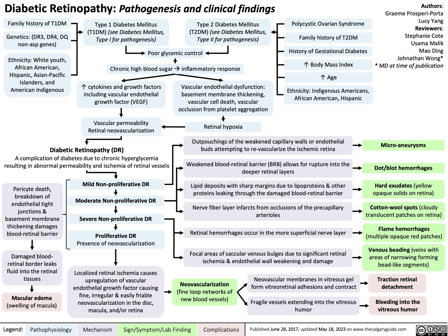 Diabetic Retinopathy: Pathogenesis and clinical findings | Calgary Guide