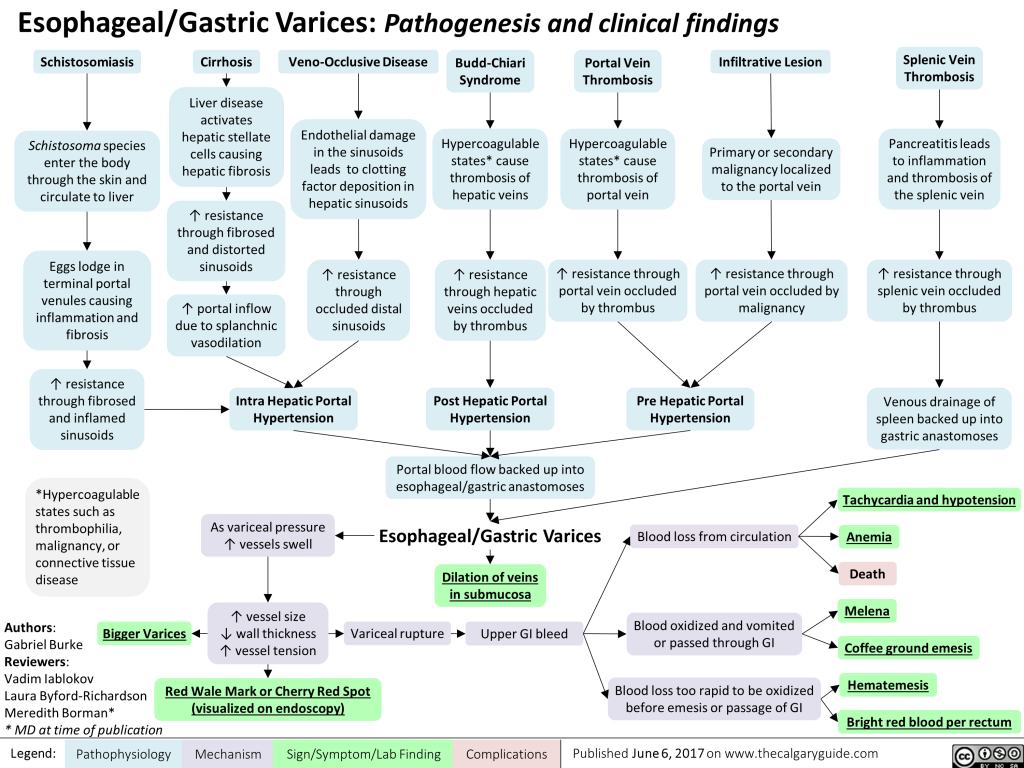 Esophageal/Gastric Varices: Pathogenesis and clinical findings ...