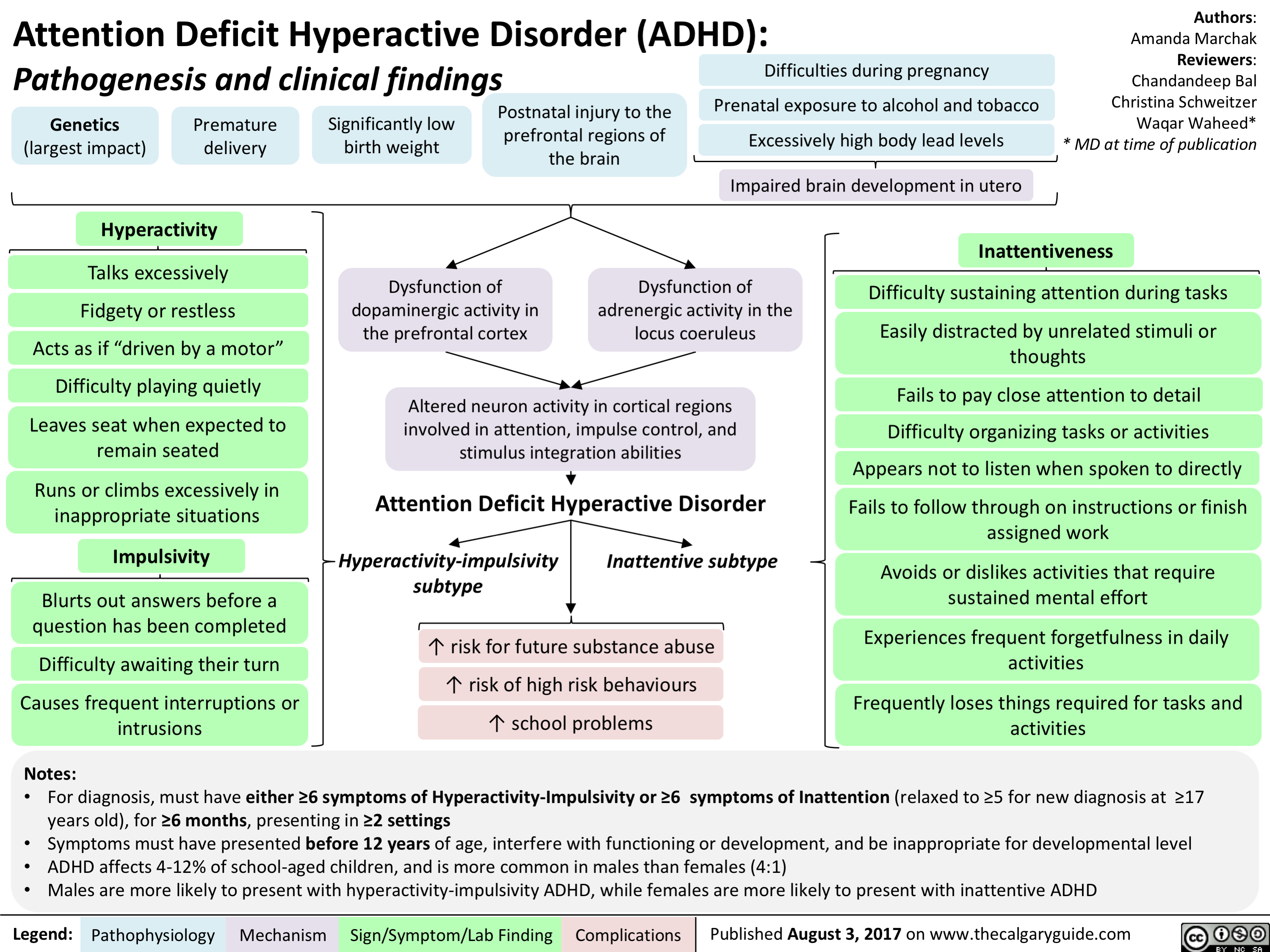 Attention Deficit Hyperactive Disorder ADHD Pathogenesis And