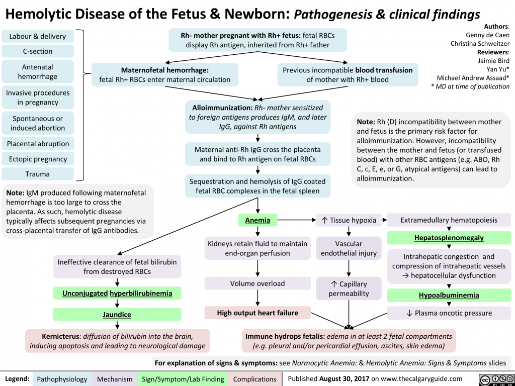 Hemolytic Disease of the Fetus and Newborn: Pathogenesis and Clinical ...