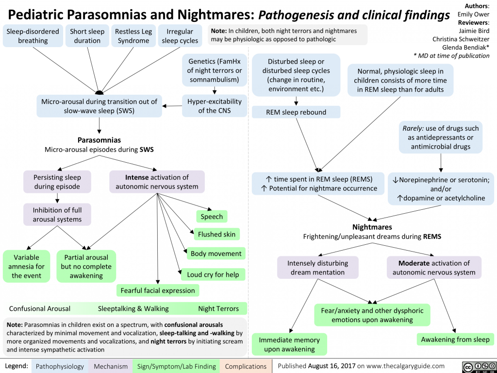 Pediatric Parasomnias And Nightmares: Pathogenesis And Clinical 