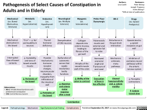 pathogenesis-of-select-causes-of-constipation-in-adults-and-in-elderly