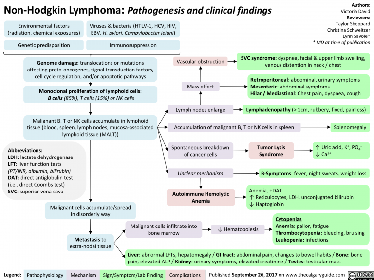 Non-hodgkin Lymphoma: Pathogenesis And Clinical Findings 