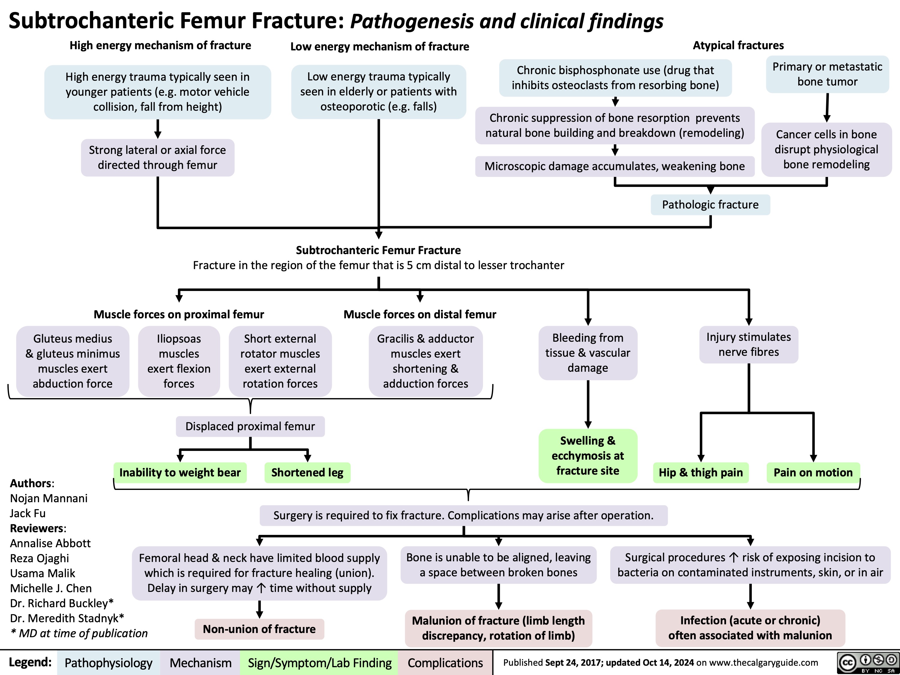 Subtrochanteric Femur Fracture: Pathogenesis and clinical findings
High energy mechanism of fracture
High energy trauma typically seen in younger patients (e.g. motor vehicle collision, fall from height)
Strong lateral or axial force directed through femur
Low energy mechanism of fracture
Low energy trauma typically seen in elderly or patients with osteoporotic (e.g. falls)
Atypical fractures
  Chronic bisphosphonate use (drug that inhibits osteoclasts from resorbing bone)
Chronic suppression of bone resorption prevents natural bone building and breakdown (remodeling)
Microscopic damage accumulates, weakening bone Pathologic fracture
Primary or metastatic bone tumor
Cancer cells in bone disrupt physiological bone remodeling
             Subtrochanteric Femur Fracture
Fracture in the region of the femur that is 5 cm distal to lesser trochanter
   Muscle forces on proximal femur
Muscle forces on distal femur
Gracilis & adductor muscles exert shortening & adduction forces
     Gluteus medius & gluteus minimus muscles exert abduction force
Iliopsoas muscles exert flexion forces
Short external rotator muscles exert external rotation forces
Bleeding from tissue & vascular damage
Swelling & ecchymosis at fracture site
Injury stimulates nerve fibres
   Displaced proximal femur
      Inability to weight bear
Authors:
Nojan Mannani
Jack Fu
Reviewers:
Annalise Abbott
Reza Ojaghi
Usama Malik
Michelle J. Chen
Dr. Richard Buckley*
Dr. Meredith Stadnyk*
* MD at time of publication
Shortened leg
Hip & thigh pain
Pain on motion
  Surgery is required to fix fracture. Complications may arise after operation.
    Femoral head & neck have limited blood supply which is required for fracture healing (union). Delay in surgery may ↑ time without supply
Non-union of fracture
Bone is unable to be aligned, leaving a space between broken bones
Malunion of fracture (limb length discrepancy, rotation of limb)
Surgical procedures ↑ risk of exposing incision to bacteria on contaminated instruments, skin, or in air
Infection (acute or chronic) often associated with malunion
    Legend:
 Pathophysiology
 Mechanism
Sign/Symptom/Lab Finding
 Complications
 Published Sept 24, 2017; updated Oct 14, 2024 on www.thecalgaryguide.com
  