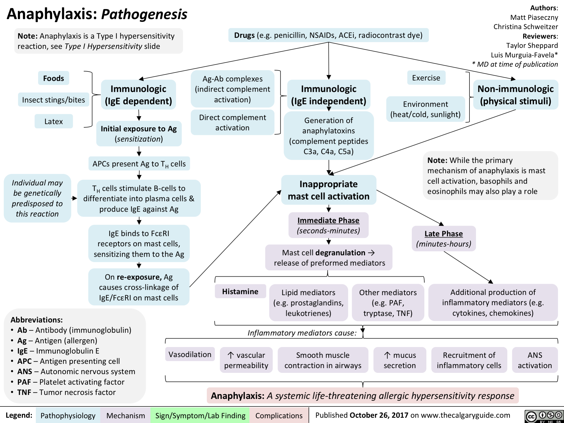 Anaphylaxis: Pathogenesis | Calgary Guide