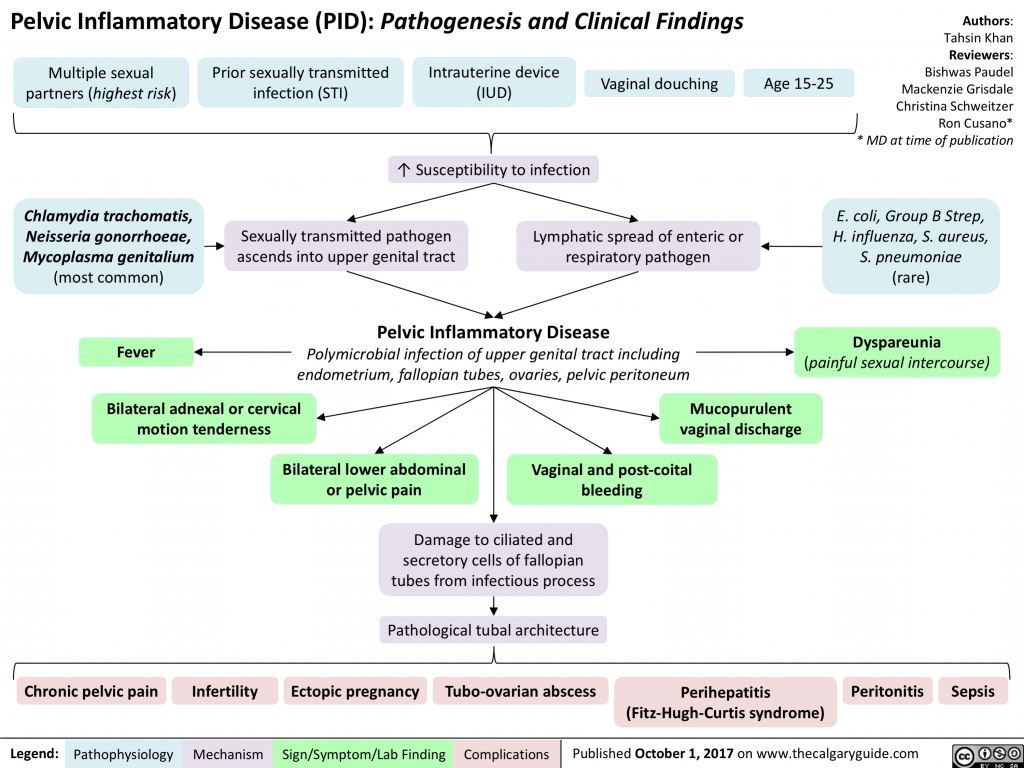 Pelvic Inflammatory Disease | Calgary Guide