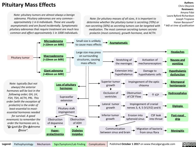 Pituitary Mass Effects | Calgary Guide