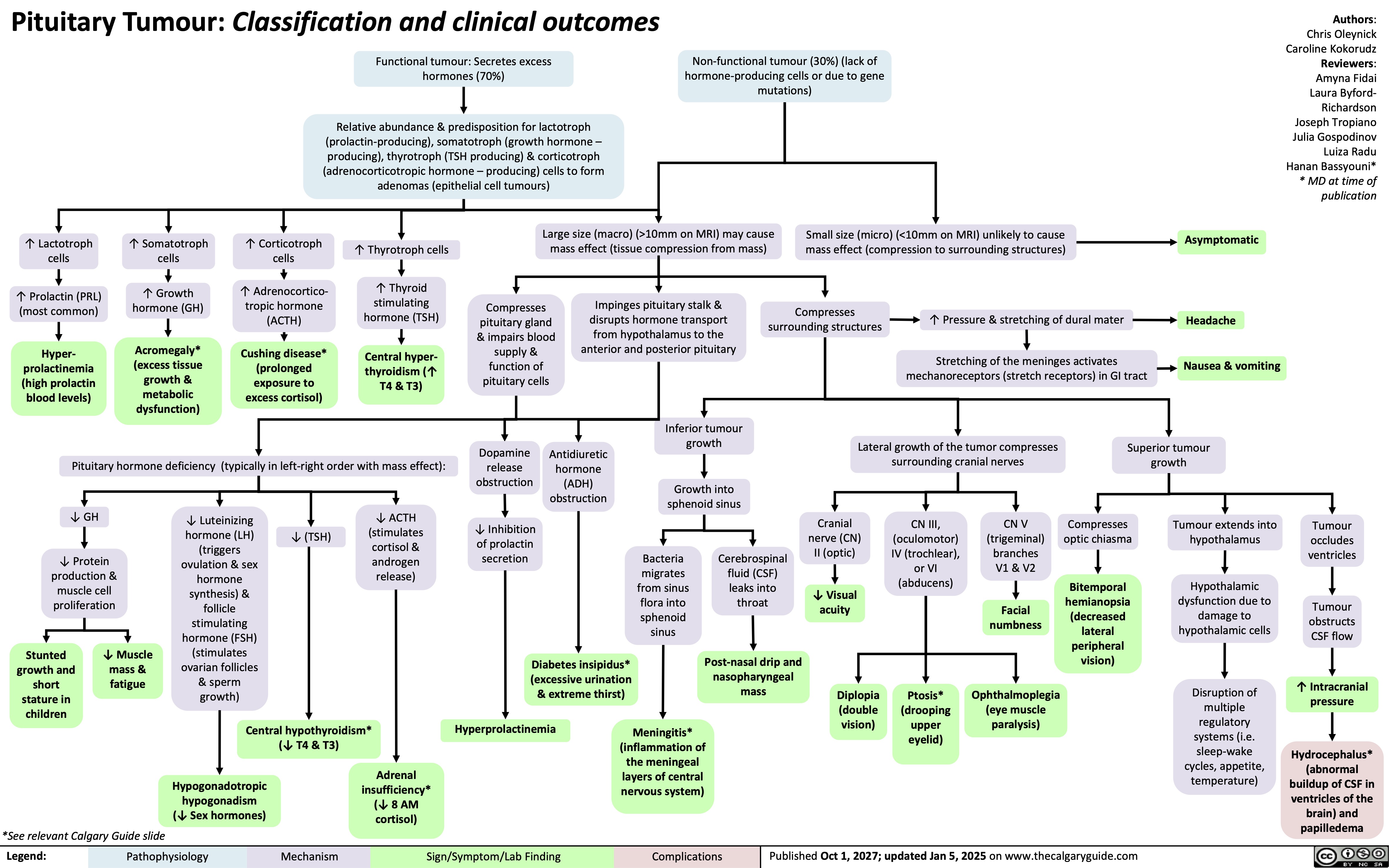 Pituitary Tumour: Classification and clinical outcomes Functional tumour: Secretes excess
Non-functional tumour (30%) (lack of hormone-producing cells or due to gene mutations)
Authors: Chris Oleynick Caroline Kokorudz Reviewers: Amyna Fidai Laura Byford- Richardson Joseph Tropiano Julia Gospodinov Luiza Radu Hanan Bassyouni* * MD at time of publication
  hormones (70%)
Relative abundance & predisposition for lactotroph (prolactin-producing), somatotroph (growth hormone – producing), thyrotroph (TSH producing) & corticotroph (adrenocorticotropic hormone – producing) cells to form adenomas (epithelial cell tumours)
            ↑ Lactotroph cells
↑ Prolactin (PRL) (most common)
Hyper- prolactinemia (high prolactin blood levels)
↑ Somatotroph cells
↑ Growth hormone (GH)
Acromegaly* (excess tissue growth & metabolic dysfunction)
↑ Corticotroph cells
↑ Adrenocortico- tropic hormone (ACTH)
Cushing disease* (prolonged exposure to excess cortisol)
↑ Thyrotroph cells
↑ Thyroid stimulating hormone (TSH)
Central hyper- thyroidism (↑ T4 & T3)
Large size (macro) (>10mm on MRI) may cause mass effect (tissue compression from mass)
Small size (micro) (<10mm on MRI) unlikely to cause mass effect (compression to surrounding structures)
Asymptomatic
Headache
Nausea & vomiting
          Compresses pituitary gland & impairs blood supply & function of pituitary cells
Impinges pituitary stalk & disrupts hormone transport from hypothalamus to the anterior and posterior pituitary
Compresses surrounding structures
↑ Pressure & stretching of dural mater
Stretching of the meninges activates mechanoreceptors (stretch receptors) in GI tract
                Pituitary hormone deficiency (typically in left-right order with mass effect):
Dopamine release obstruction
↓ Inhibition of prolactin secretion
Antidiuretic hormone (ADH) obstruction
Inferior tumour growth
Growth into sphenoid sinus
Lateral growth of the tumor compresses surrounding cranial nerves
Superior tumour growth
        ↓ GH
↓ Protein production & muscle cell proliferation
↓ Luteinizing hormone (LH) (triggers ovulation & sex hormone synthesis) & follicle stimulating hormone (FSH) (stimulates ovarian follicles & sperm growth)
↓ (TSH)
↓ ACTH (stimulates cortisol & androgen release)
Cranial nerve (CN) II (optic)
↓ Visual acuity
Diplopia (double vision)
CN III, (oculomotor) IV (trochlear), or VI (abducens)
Ptosis* (drooping upper eyelid)
CN V (trigeminal) branches V1 & V2
Facial numbness
Ophthalmoplegia (eye muscle paralysis)
Compresses optic chiasma
Bitemporal hemianopsia (decreased lateral peripheral vision)
Tumour extends into hypothalamus
Hypothalamic dysfunction due to damage to hypothalamic cells
Disruption of multiple regulatory systems (i.e. sleep-wake cycles, appetite, temperature)
Tumour occludes ventricles
Tumour obstructs CSF flow
↑ Intracranial pressure
Hydrocephalus* (abnormal buildup of CSF in ventricles of the brain) and papilledema
           Bacteria migrates from sinus flora into sphenoid sinus
Cerebrospinal fluid (CSF) leaks into throat
Post-nasal drip and nasopharyngeal mass
          Stunted growth and short stature in children
↓ Muscle mass & fatigue
Diabetes insipidus* (excessive urination & extreme thirst)
           Central hypothyroidism* (↓ T4 & T3)
Hyperprolactinemia
Meningitis* (inflammation of the meningeal layers of central nervous system)
   *See relevant Calgary Guide slide
Hypogonadotropic hypogonadism (↓ Sex hormones)
Adrenal insufficiency* (↓ 8 AM cortisol)
 Legend:
 Pathophysiology
 Mechanism
 Sign/Symptom/Lab Finding
 Complications
 Published Oct 1, 2027; updated Jan 5, 2025 on www.thecalgaryguide.com
 