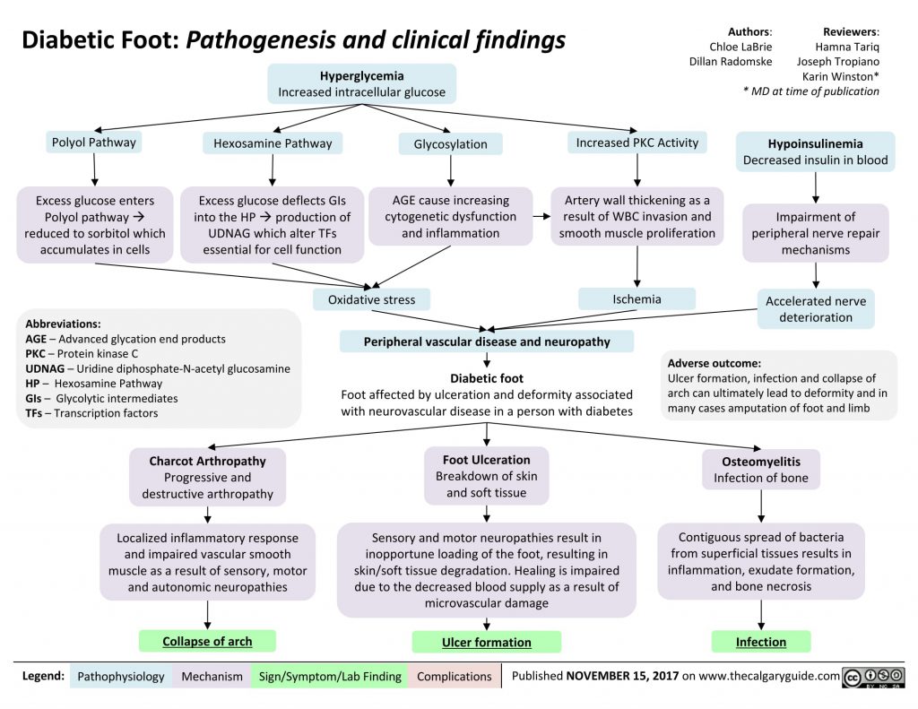 Diabetic Foot: Pathogenesis and clinical findings | Calgary Guide