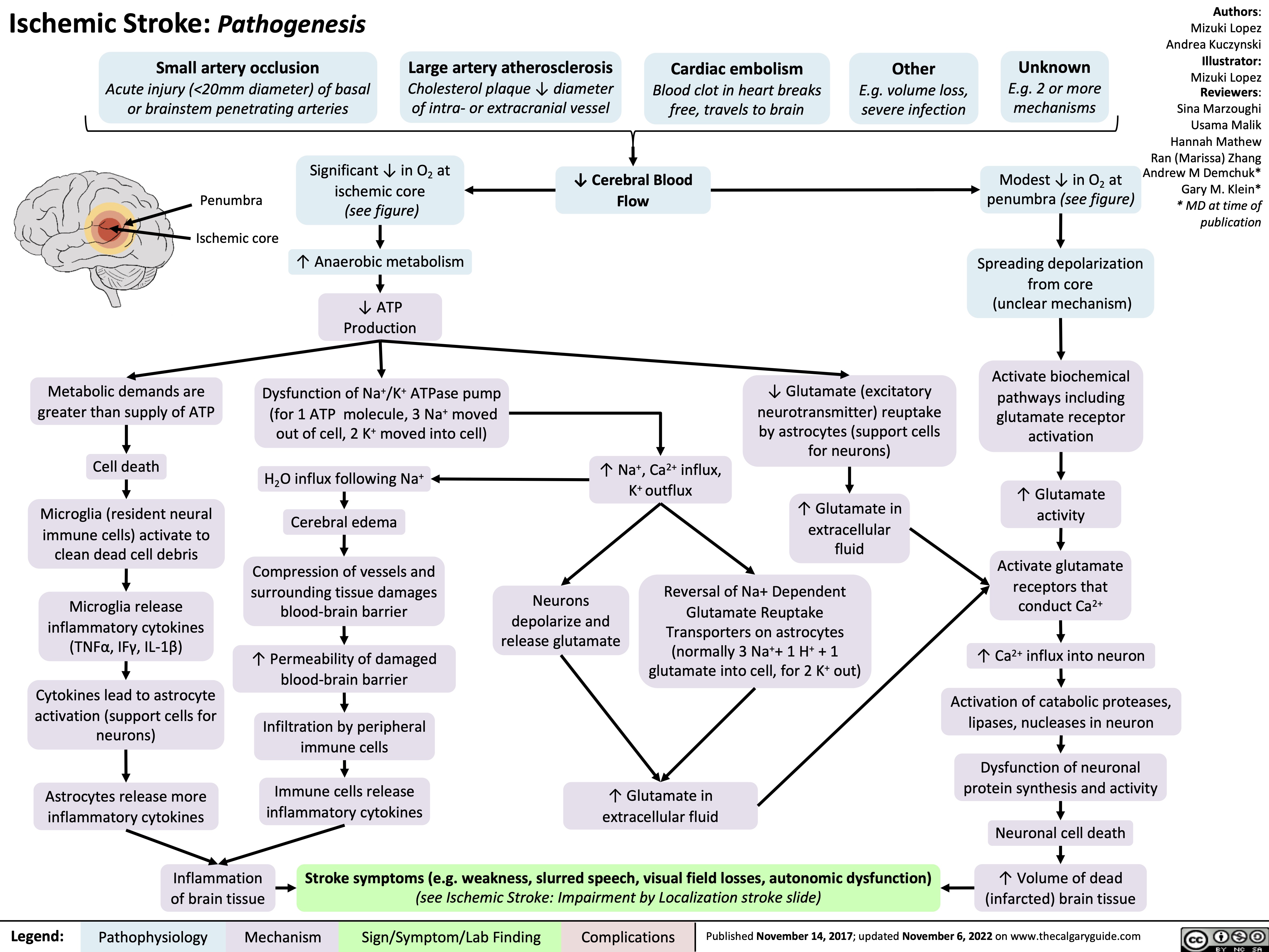 hemorrhagic-stroke-pathophysiology