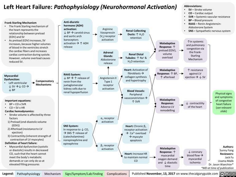 Left Heart Failure: Pathophysiology (Neurohormonal Activation ...