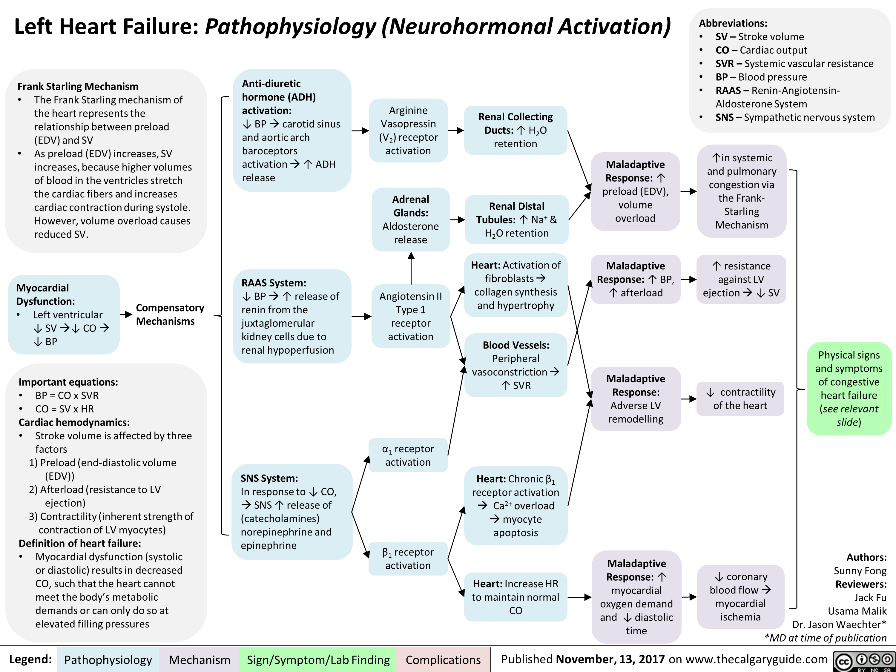 left-heart-failure-pathophysiology-neurohormonal-activation