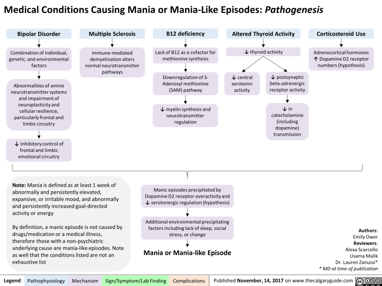 Medical Conditions Causing Mania or Mania-Like Episodes: Pathogenesis ...