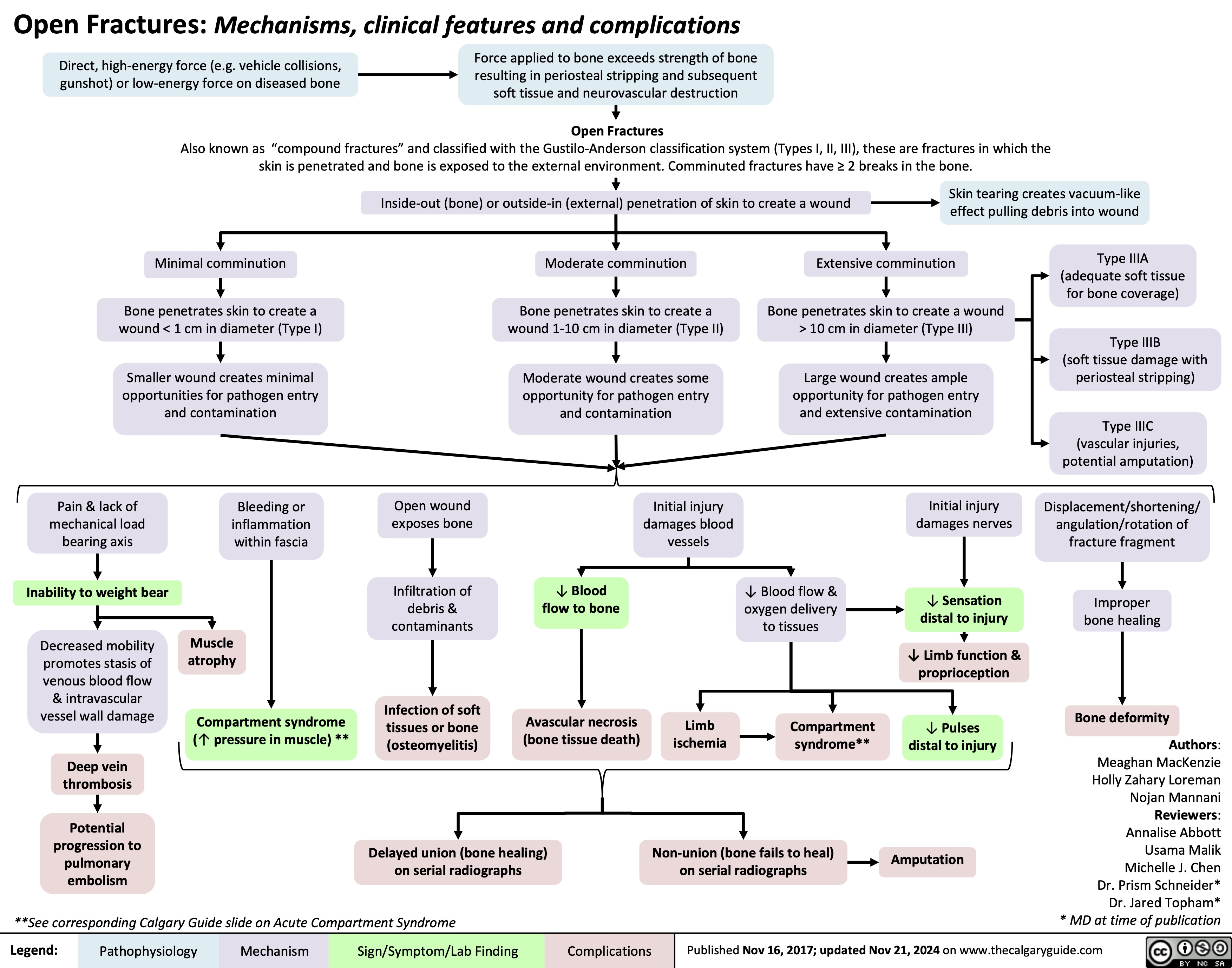 Open Fractures: Mechanisms, clinical features and complications
  Direct, high-energy force (e.g. vehicle collisions, gunshot) or low-energy force on diseased bone
Force applied to bone exceeds strength of bone resulting in periosteal stripping and subsequent soft tissue and neurovascular destruction
Open Fractures
 Also known as “compound fractures” and classified with the Gustilo-Anderson classification system (Types I, II, III), these are fractures in which the skin is penetrated and bone is exposed to the external environment. Comminuted fractures have ≥ 2 breaks in the bone.
  Inside-out (bone) or outside-in (external) penetration of skin to create a wound
Skin tearing creates vacuum-like effect pulling debris into wound
       Minimal comminution
Bone penetrates skin to create a wound < 1 cm in diameter (Type I)
Smaller wound creates minimal opportunities for pathogen entry and contamination
Moderate comminution
Bone penetrates skin to create a wound 1-10 cm in diameter (Type II)
Moderate wound creates some opportunity for pathogen entry and contamination
Extensive comminution
Bone penetrates skin to create a wound > 10 cm in diameter (Type III)
Large wound creates ample opportunity for pathogen entry and extensive contamination
Type IIIA (adequate soft tissue for bone coverage)
Type IIIB
(soft tissue damage with periosteal stripping)
Type IIIC (vascular injuries, potential amputation)
Displacement/shortening/ angulation/rotation of fracture fragment
Improper bone healing
Bone deformity
Authors: Meaghan MacKenzie Holly Zahary Loreman Nojan Mannani Reviewers: Annalise Abbott Usama Malik Michelle J. Chen Dr. Prism Schneider* Dr. Jared Topham* * MD at time of publication
                  Pain & lack of mechanical load bearing axis
Inability to weight bear
Decreased mobility promotes stasis of venous blood flow & intravascular vessel wall damage
Deep vein thrombosis
Potential progression to pulmonary embolism
Bleeding or inflammation within fascia
Muscle atrophy
Compartment syndrome (↑ pressure in muscle) **
Open wound exposes bone
Infiltration of debris & contaminants
Infection of soft tissues or bone (osteomyelitis)
Initial injury damages blood vessels
Initial injury damages nerves
↓ Sensation distal to injury
↓ Limb function & proprioception
↓ Pulses distal to injury
Amputation
       ↓ Blood flow to bone
Avascular necrosis (bone tissue death)
Limb ischemia
↓ Blood flow & oxygen delivery to tissues
Compartment syndrome**
                       Delayed union (bone healing) on serial radiographs
Non-union (bone fails to heal) on serial radiographs
 **See corresponding Calgary Guide slide on Acute Compartment Syndrome
 Legend:
 Pathophysiology
Mechanism
Sign/Symptom/Lab Finding
 Complications
 Published Nov 16, 2017; updated Nov 21, 2024 on www.thecalgaryguide.com
   