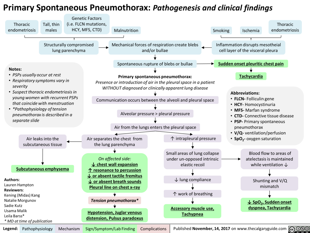 Primary Spontaneous Pneumothorax Pathogenesis and clinical findings