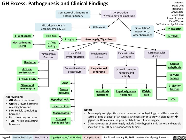 Growth Hormone Excess Calgary Guide