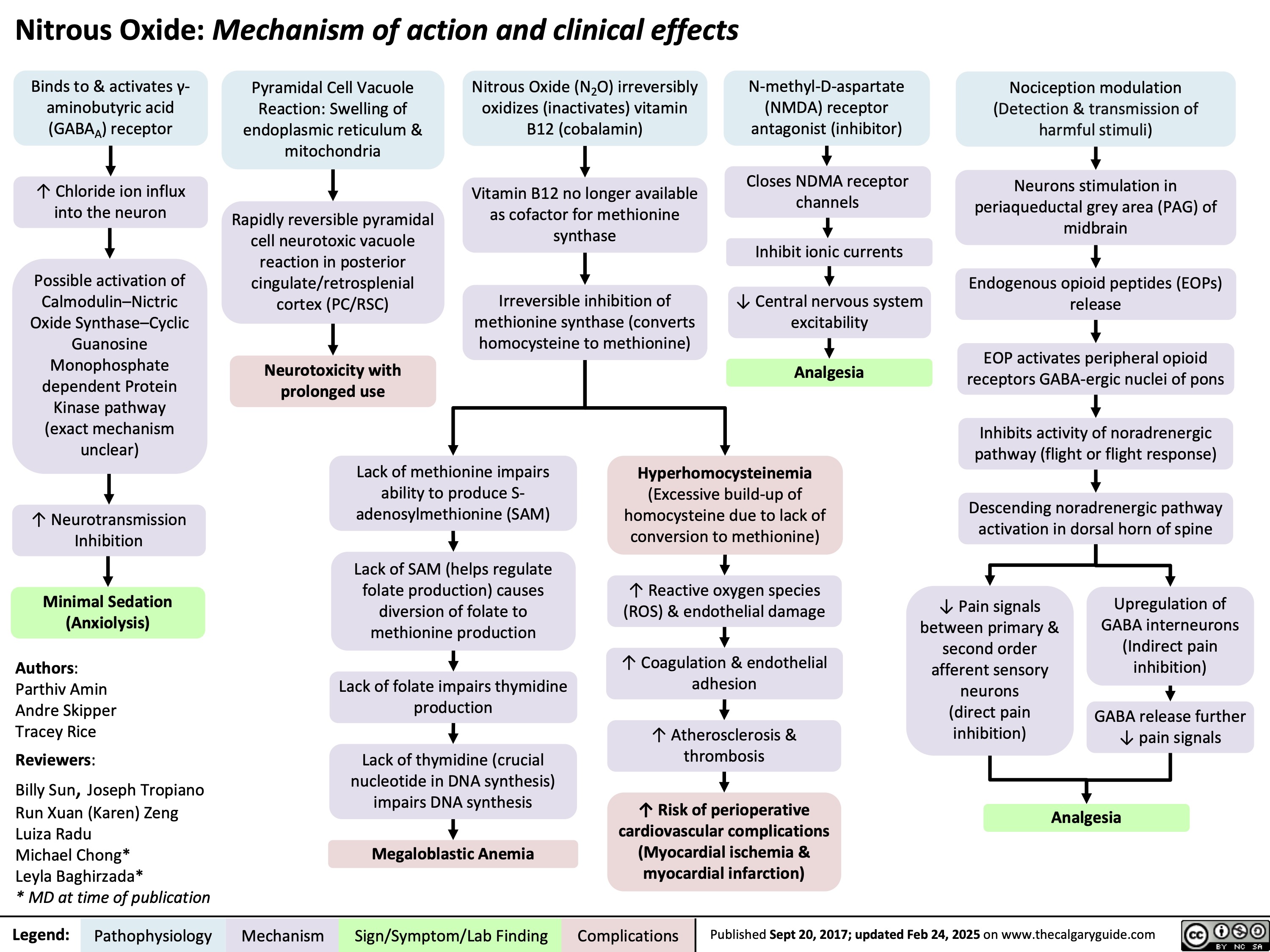 Nitrous Oxide: Mechanism of action and clinical effects
     Binds to & activates γ- aminobutyric acid (GABAA) receptor
↑ Chloride ion influx into the neuron
Possible activation of Calmodulin–Nictric Oxide Synthase–Cyclic Guanosine Monophosphate dependent Protein Kinase pathway (exact mechanism unclear)
↑ Neurotransmission Inhibition
Minimal Sedation (Anxiolysis)
Authors: Parthiv Amin Andre Skipper Tracey Rice
Reviewers:
Billy Sun, Joseph Tropiano
Run Xuan (Karen) Zeng Luiza Radu
Michael Chong*
Leyla Baghirzada*
* MD at time of publication
N-methyl-D-aspartate (NMDA) receptor antagonist (inhibitor)
Closes NDMA receptor channels
Inhibit ionic currents
↓ Central nervous system excitability
Analgesia
Hyperhomocysteinemia
(Excessive build-up of homocysteine due to lack of conversion to methionine)
↑ Reactive oxygen species (ROS) & endothelial damage
↑ Coagulation & endothelial adhesion
↑ Atherosclerosis & thrombosis
↑ Risk of perioperative cardiovascular complications (Myocardial ischemia & myocardial infarction)
Pyramidal Cell Vacuole Reaction: Swelling of endoplasmic reticulum & mitochondria
Rapidly reversible pyramidal cell neurotoxic vacuole reaction in posterior cingulate/retrosplenial cortex (PC/RSC)
Neurotoxicity with prolonged use
Lack of methionine impairs ability to produce S- adenosylmethionine (SAM)
Lack of SAM (helps regulate folate production) causes diversion of folate to methionine production
Lack of folate impairs thymidine production
Lack of thymidine (crucial nucleotide in DNA synthesis) impairs DNA synthesis
Megaloblastic Anemia
Nociception modulation (Detection & transmission of harmful stimuli)
Neurons stimulation in periaqueductal grey area (PAG) of midbrain
Endogenous opioid peptides (EOPs) release
EOP activates peripheral opioid receptors GABA-ergic nuclei of pons
Inhibits activity of noradrenergic pathway (flight or flight response)
Descending noradrenergic pathway activation in dorsal horn of spine
Nitrous Oxide (N2O) irreversibly oxidizes (inactivates) vitamin B12 (cobalamin)
Vitamin B12 no longer available as cofactor for methionine synthase
Irreversible inhibition of methionine synthase (converts homocysteine to methionine)
                         ↓ Pain signals between primary & second order afferent sensory neurons (direct pain inhibition)
Upregulation of GABA interneurons (Indirect pain inhibition)
GABA release further ↓ pain signals
        Analgesia
  Legend:
 Pathophysiology
Mechanism
Sign/Symptom/Lab Finding
 Complications
 Published Sept 20, 2017; updated Feb 24, 2025 on www.thecalgaryguide.com
   