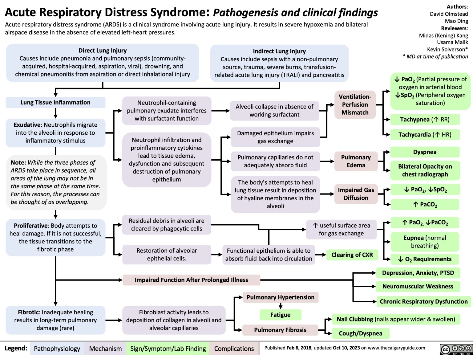 Acute Respiratory Distress Syndrome: Pathogenesis And Clinical Findings 