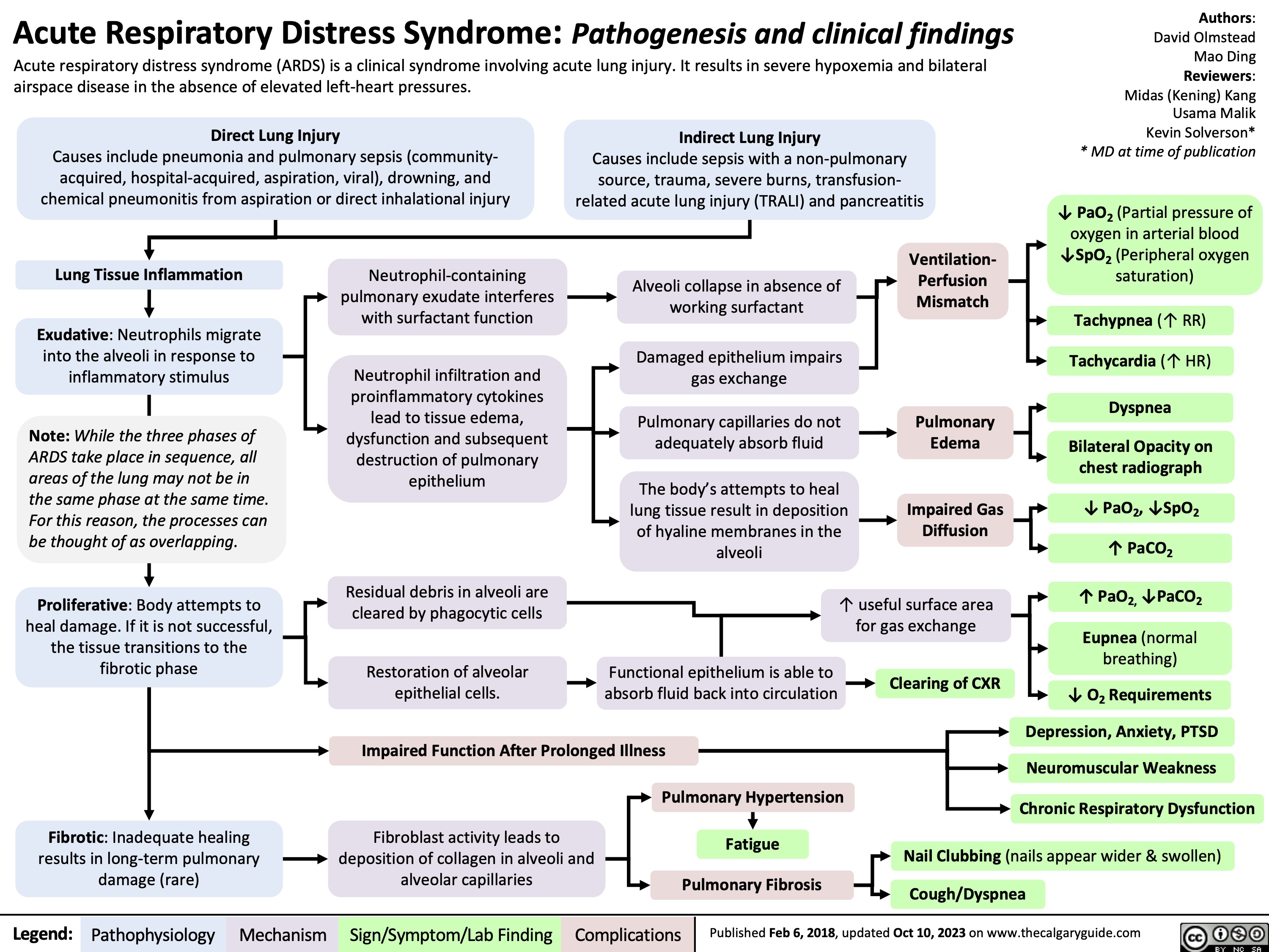 Acute Respiratory Distress Syndrome: Pathogenesis and clinical findings Acute respiratory distress syndrome (ARDS) is a clinical syndrome involving acute lung injury. It results in severe hypoxemia and bilateral
Authors: David Olmstead Mao Ding Reviewers: Midas (Kening) Kang Usama Malik Kevin Solverson* * MD at time of publication
↓ PaO2 (Partial pressure of oxygen in arterial blood ↓SpO2 (Peripheral oxygen saturation)
Tachypnea (↑ RR) Tachycardia (↑ HR)
Dyspnea
Bilateral Opacity on chest radiograph
↓ PaO2, ↓SpO2
↑ PaCO 2
↑ PaO2, ↓PaCO2 Eupnea (normal
breathing)
↓ O2 Requirements Depression, Anxiety, PTSD Neuromuscular Weakness
Chronic Respiratory Dysfunction
airspace disease in the absence of elevated left-heart pressures.
Direct Lung Injury
Causes include pneumonia and pulmonary sepsis (community- acquired, hospital-acquired, aspiration, viral), drowning, and chemical pneumonitis from aspiration or direct inhalational injury
Indirect Lung Injury
Causes include sepsis with a non-pulmonary source, trauma, severe burns, transfusion- related acute lung injury (TRALI) and pancreatitis
        Lung Tissue Inflammation
Exudative: Neutrophils migrate into the alveoli in response to inflammatory stimulus
Note: While the three phases of ARDS take place in sequence, all areas of the lung may not be in the same phase at the same time. For this reason, the processes can be thought of as overlapping.
Proliferative: Body attempts to heal damage. If it is not successful, the tissue transitions to the fibrotic phase
Neutrophil-containing pulmonary exudate interferes with surfactant function
Neutrophil infiltration and proinflammatory cytokines lead to tissue edema, dysfunction and subsequent destruction of pulmonary epithelium
Residual debris in alveoli are cleared by phagocytic cells
Restoration of alveolar epithelial cells.
Alveoli collapse in absence of working surfactant
Damaged epithelium impairs gas exchange
Pulmonary capillaries do not adequately absorb fluid
The body’s attempts to heal lung tissue result in deposition of hyaline membranes in the alveoli
Ventilation- Perfusion Mismatch
Pulmonary Edema
Impaired Gas Diffusion
                              Functional epithelium is able to absorb fluid back into circulation
↑ useful surface area for gas exchange
Clearing of CXR
       Impaired Function After Prolonged Illness
Pulmonary Hypertension
      Fibrotic: Inadequate healing results in long-term pulmonary damage (rare)
Fibroblast activity leads to deposition of collagen in alveoli and alveolar capillaries
Fatigue Pulmonary Fibrosis
Nail Clubbing (nails appear wider & swollen) Cough/Dyspnea
     Legend:
 Pathophysiology
 Mechanism
Sign/Symptom/Lab Finding
 Complications
 Published Feb 6, 2018, updated Oct 10, 2023 on www.thecalgaryguide.com
  
Acute Respiratory Distress Syndrome: Note: Acute respiratory distress syndrome is a clinical
Authors: David Olmstead Reviewers: Midas (Kening) Kang Usama Malik Kevin Solverson* * MD at time of publication
 Pathogenesis and clinical findings
Direct Lung Injury
Causes include pneumonia and pulmonary sepsis (community-acquired, hospital-acquired, aspiration, viral), drowning, and chemical pneumonitis from aspiration or direct inhalational injury
Indirect Lung Injury
syndrome involving acute lung injury. It results in severe hypoxemia and bilateral airspace disease in the absence of elevated left-heart pressures.
  Causes include sepsis with a non-pulmonary source, trauma, severe burns, transfusion-related acute lung injury (TRALI) and pancreatitis
        Lung Tissue Inflammation
Exudative: Neutrophils migrate into the alveoli in response to inflammatory stimulus
Note: While the three phases of ARDS take place in sequence, all areas of the lung may not be in the same phase at the same time. For this reason, the processes can be thought of as overlapping.
Proliferative: Body attempts to heal damage. If it is not successful, the tissue transitions to the fibrotic phase
Neutrophil-containing pulmonary exudate interferes with surfactant function
Neutrophil infiltration and proinflammatory cytokines lead to tissue edema, dysfunction and subsequent destruction of pulmonary epithelium
Abbreviations:
PaO2: Partial pressure of oxygen in arterial blood
SpO2: Peripheral oxygen saturation.
CXR: Chest radiograph.
Residual debris in alveoli are cleared by phagocytic cells
Restoration of alveolar epithelial cells.
Alveoli collapse in absence of working surfactant
Damaged epithelium impairs gas exchange
Pulmonary capillaries do not adequately absorb fluid
The body’s attempts to heal lung tissue result in
deposition of hyaline membranes in the alveoli
Ventilation- Perfusion Mismatch
Pulmonary Edema
Impaired Gas Diffusion
↓ PaO2, ↓SpO2 Tachypnea
Tachycardia
Dyspnea
Bilateral Opacity on CXR
↓ PaO , ↓SpO 2 2
↑ PaCO2
↑ PaO2, ↓PaCO2 Eupnea
↓ O2 Requirements
Clearing of CXR
Depression, Anxiety, PTSD
Neuromuscular Weakness
Chronic Respiratory Dysfunction
                                 ↑ useful surface area for gas exchange
Functional epithelium is able to absorb fluid back into circulation
            Impaired Function After Prolonged Illness
      Fibrotic: Inadequate healing results in long-term pulmonary damage (rare)
Fibroblast activity leads to deposition of collagen in alveoli and alveolar capillaries
Pulmonary Fibrosis
Pulmonary Hypertension
Cough/Dyspnea Nail Clubbing Fatigue
        Legend:
 Pathophysiology
 Mechanism
Sign/Symptom/Lab Finding
 Complications
Published February 06, 2018 on www.thecalgaryguide.com
   