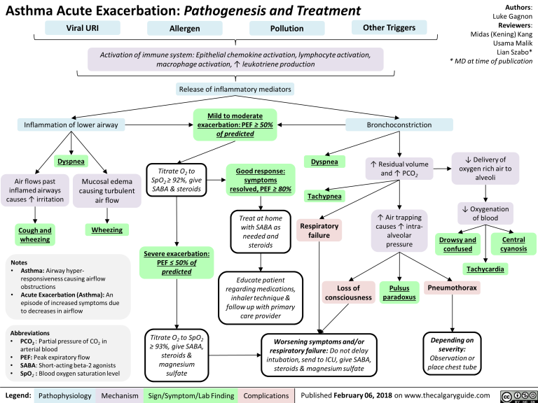 Asthma Acute Exacerbation Pathogenesis and Treatment Calgary Guide