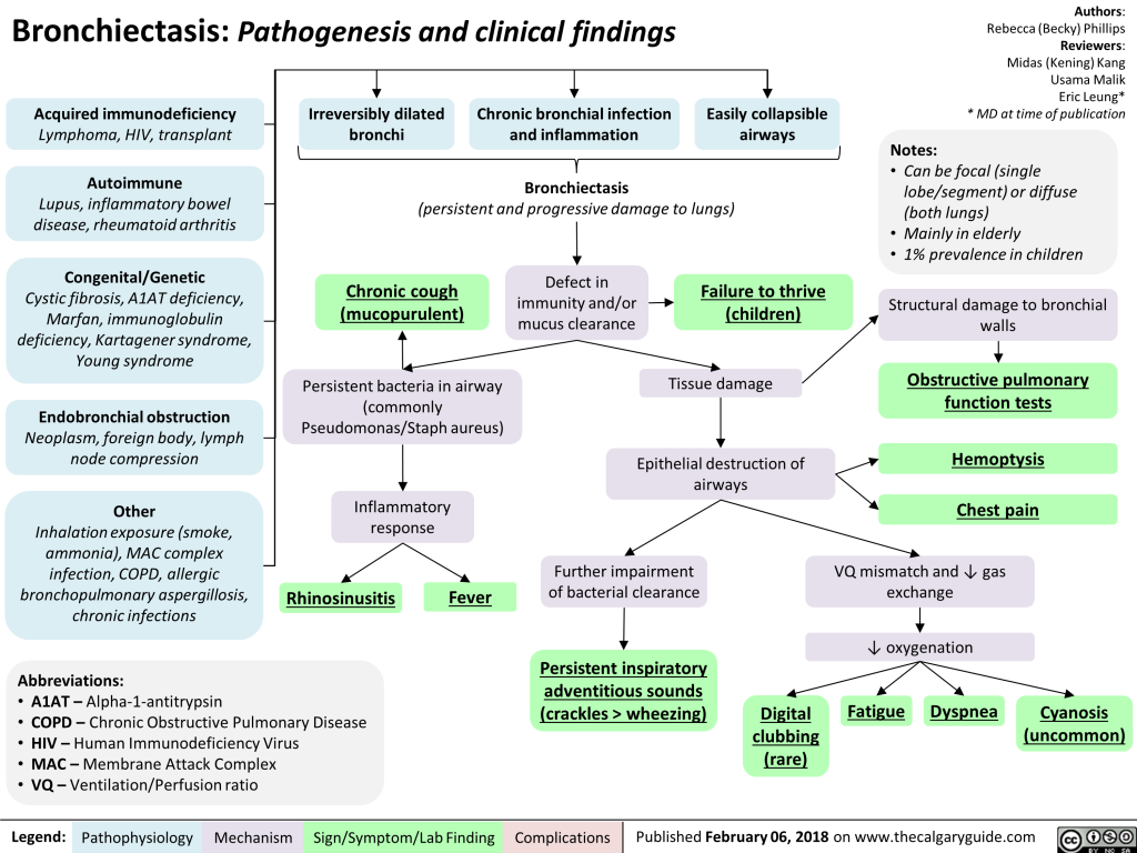 Bronchiectasis: Pathogenesis And Clinical Findings | Calgary Guide