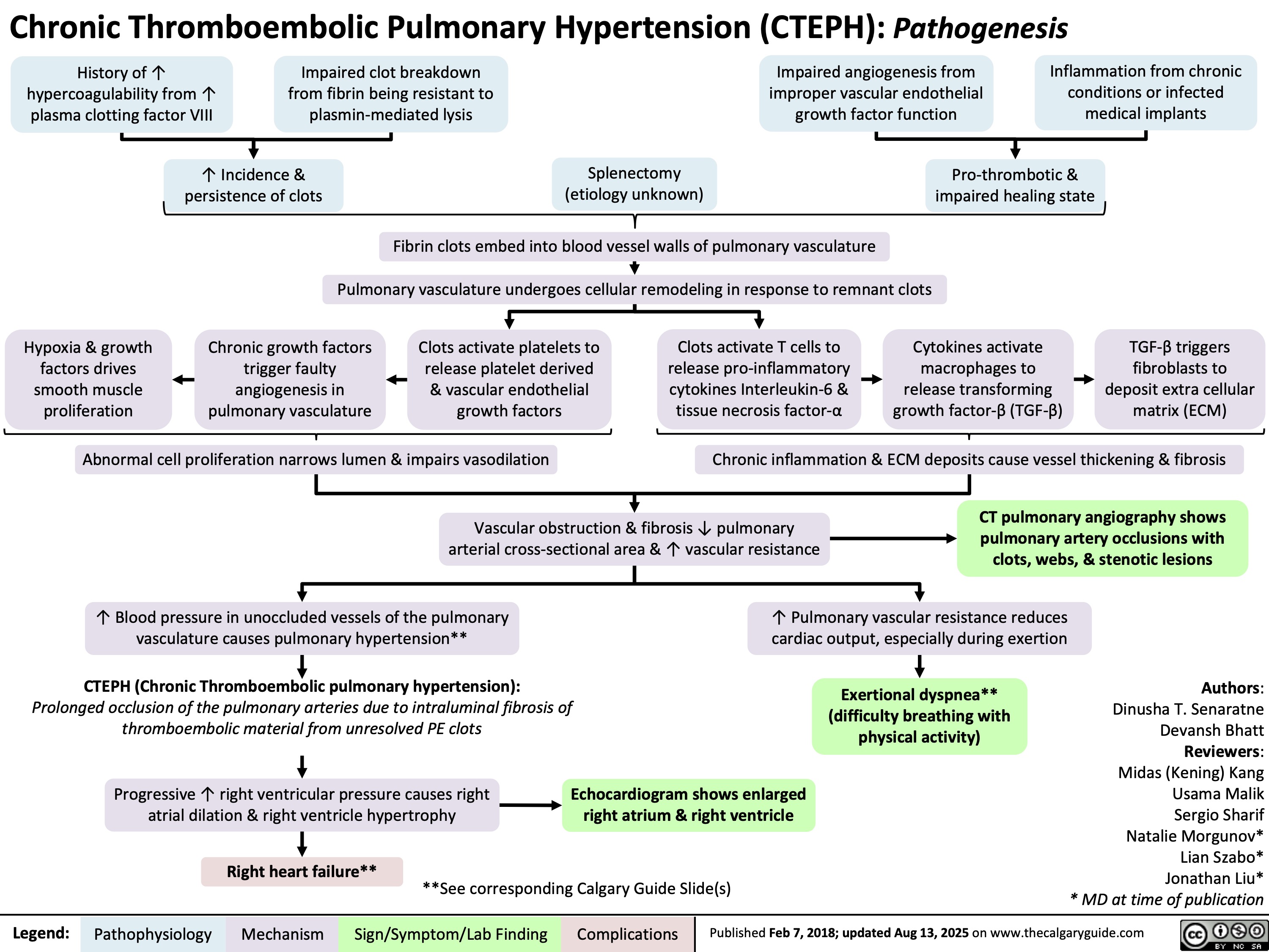 Chronic Thromboembolic Pulmonary Hypertension (CTEPH): Pathogenesis
History of ↑
hypercoagulability from ↑
plasma clotting factor VIII
Impaired clot breakdown
from fibrin being resistant to
plasmin-mediated lysis
Impaired angiogenesis from
improper vascular endothelial
growth factor function
Inflammation from chronic
conditions or infected
medical implants
Legend: ↑ Incidence &
persistence of clots
Splenectomy
(etiology unknown)
Pro-thrombotic &
impaired healing state
Fibrin clots embed into blood vessel walls of pulmonary vasculature
Pulmonary vasculature undergoes cellular remodeling in response to remnant clots
Hypoxia & growth
factors drives
smooth muscle
proliferation
Chronic growth factors
trigger faulty
angiogenesis in
pulmonary vasculature
Clots activate platelets to
release platelet derived
& vascular endothelial
growth factors
Clots activate T cells to
release pro-inflammatory
cytokines Interleukin-6 &
tissue necrosis factor-α
Cytokines activate
macrophages to
release transforming
growth factor-β (TGF-β)
TGF-β triggers
fibroblasts to
deposit extra cellular
matrix (ECM)
Abnormal cell proliferation narrows lumen & impairs vasodilation Chronic inflammation & ECM deposits cause vessel thickening & fibrosis
Vascular obstruction & fibrosis ↓ pulmonary
arterial cross-sectional area & ↑ vascular resistance
CT pulmonary angiography shows
pulmonary artery occlusions with
clots, webs, & stenotic lesions
↑ Blood pressure in unoccluded vessels of the pulmonary
vasculature causes pulmonary hypertension**
↑ Pulmonary vascular resistance reduces
cardiac output, especially during exertion
CTEPH (Chronic Thromboembolic pulmonary hypertension):
Prolonged occlusion of the pulmonary arteries due to intraluminal fibrosis of
thromboembolic material from unresolved PE clots
Exertional dyspnea**
(difficulty breathing with
physical activity)
Progressive ↑ right ventricular pressure causes right
atrial dilation & right ventricle hypertrophy
Echocardiogram shows enlarged
right atrium & right ventricle
Right heart failure**
**See corresponding Calgary Guide Slide(s)
Authors:
Dinusha T. Senaratne
Devansh Bhatt
Reviewers:
Midas (Kening) Kang
Usama Malik
Sergio Sharif
Natalie Morgunov*
Lian Szabo*
Jonathan Liu*
* MD at time of publication
Published Feb 7, 2018; updated Aug 13, 2025 on www.thecalgaryguide.com
Pathophysiology Mechanism
Sign/Symptom/Lab Finding Complications