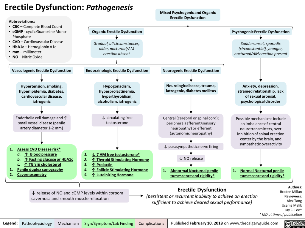 Erectile Dysfunction: Pathogenesis | Calgary Guide