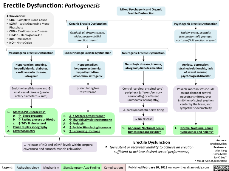 erectile-dysfunction-pathogenesis-calgary-guide