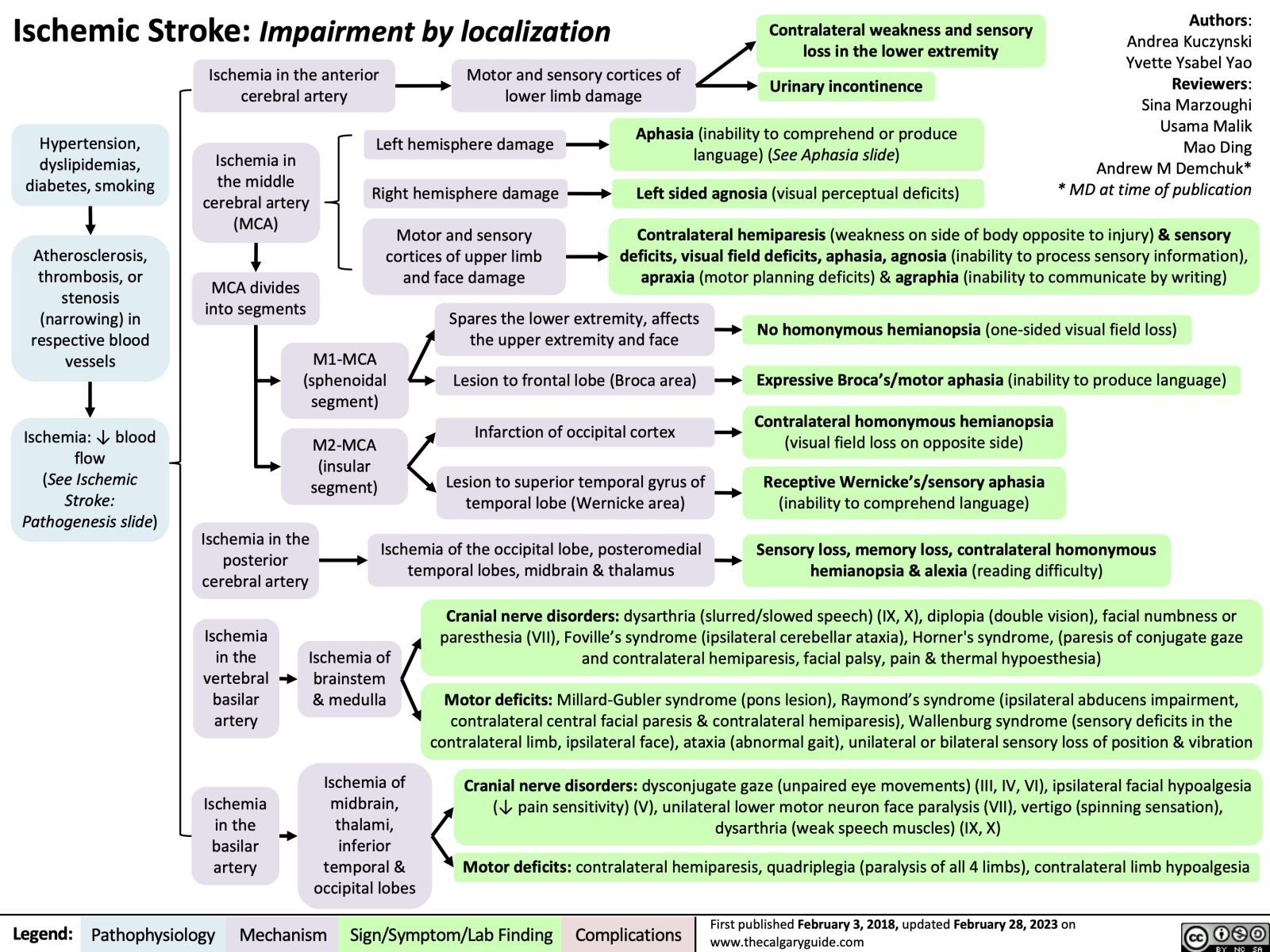 Ischemic Stroke: Impairment by Localization | Calgary Guide