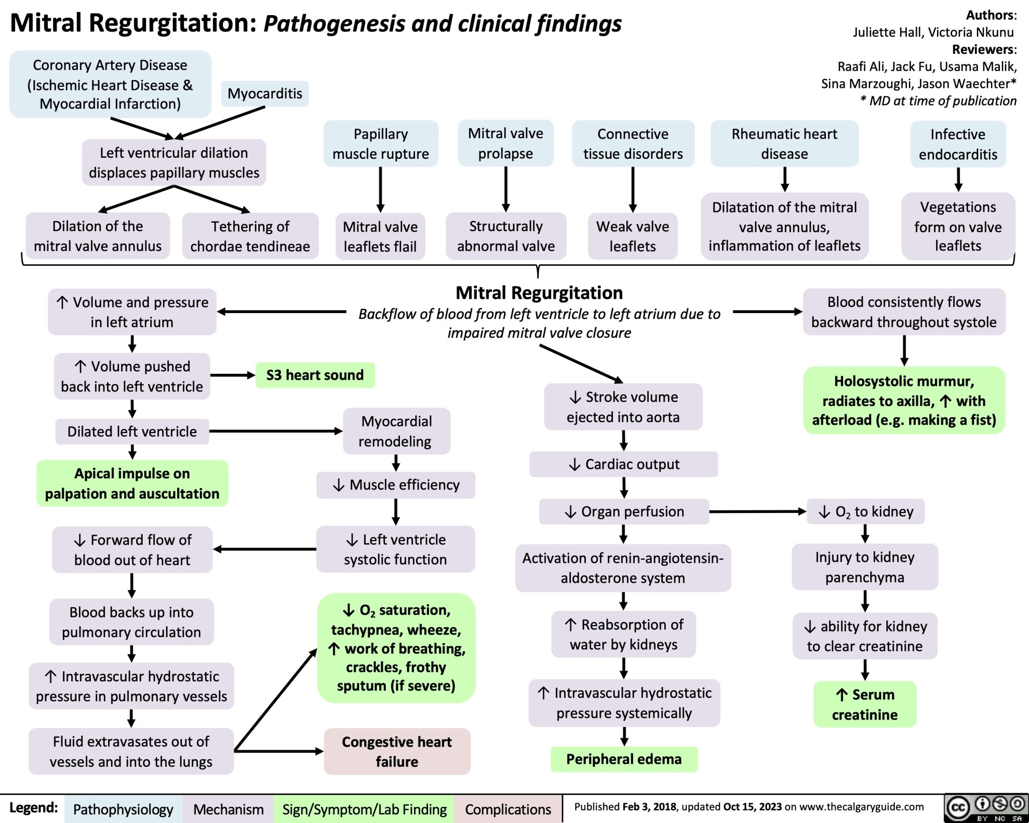 mitral-regurgitation-pathogenesis-and-clinical-findings-calgary-guide