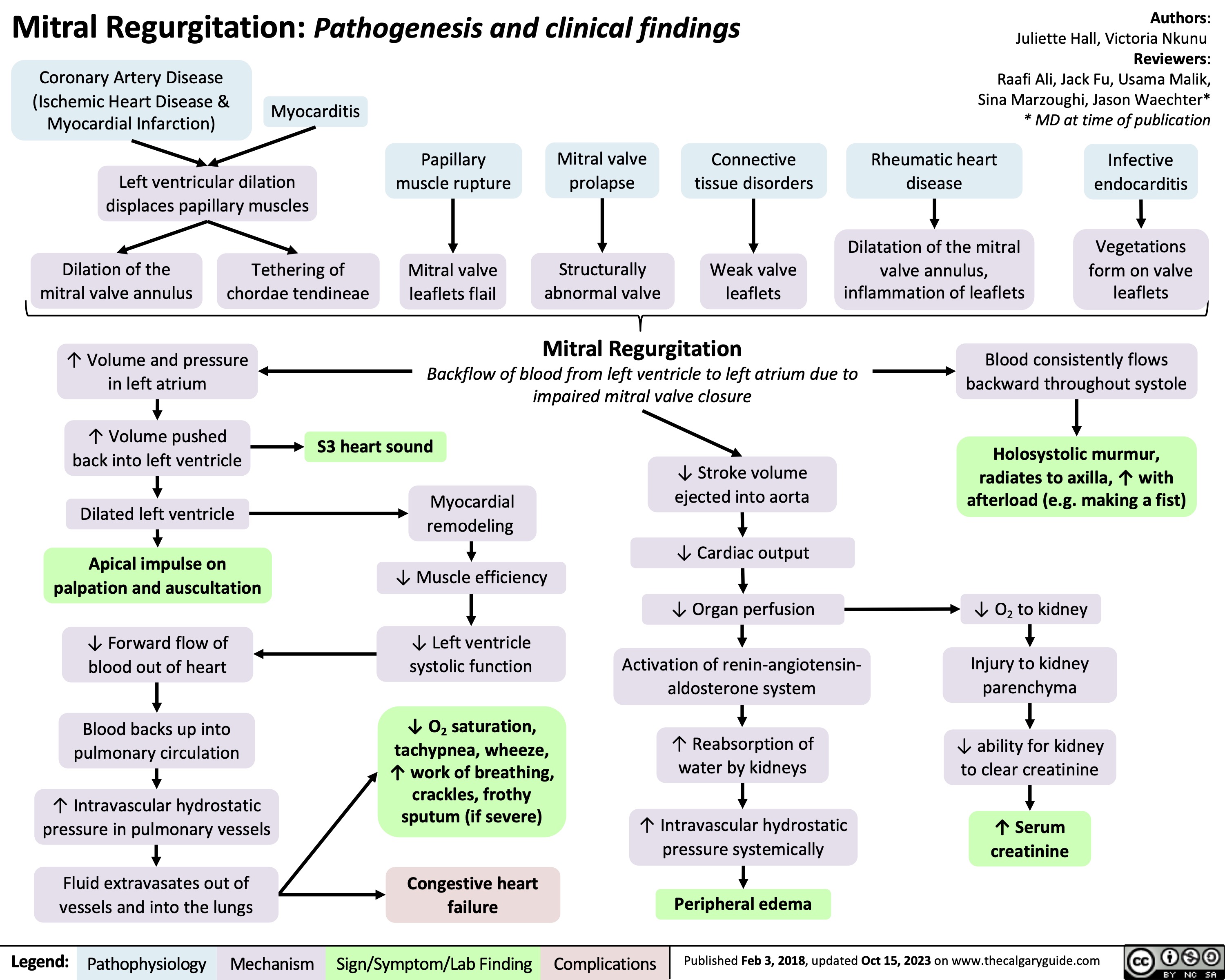 Mitral Regurgitation: Pathogenesis and clinical findings Coronary Artery Disease
Authors: Juliette Hall, Victoria Nkunu
Reviewers: Raafi Ali, Jack Fu, Usama Malik, Sina Marzoughi, Jason Waechter* * MD at time of publication
 (Ischemic Heart Disease & Myocardial Infarction)
Myocarditis
         Left ventricular dilation displaces papillary muscles
Dilation of the Tethering of mitral valve annulus chordae tendineae
↑ Volume and pressure in left atrium
↑ Volume pushed back into left ventricle
Dilated left ventricle
Apical impulse on palpation and auscultation
↓ Forward flow of blood out of heart
Blood backs up into pulmonary circulation
↑ Intravascular hydrostatic pressure in pulmonary vessels
Fluid extravasates out of vessels and into the lungs
Papillary muscle rupture
Mitral valve leaflets flail
Mitral valve prolapse
Structurally abnormal valve
Connective tissue disorders
Weak valve leaflets
Rheumatic heart disease
Dilatation of the mitral valve annulus, inflammation of leaflets
Infective endocarditis
Vegetations form on valve leaflets
             Mitral Regurgitation
Blood consistently flows backward throughout systole
Holosystolic murmur, radiates to axilla, ↑ with afterload (e.g. making a fist)
  Backflow of blood from left ventricle to left atrium due to impaired mitral valve closure
     S3 heart sound
Myocardial remodeling
↓ Muscle efficiency
↓ Left ventricle systolic function
↓ O2 saturation, tachypnea, wheeze, ↑ work of breathing, crackles, frothy sputum (if severe)
Congestive heart failure
↓ Stroke volume ejected into aorta
      ↓ Cardiac output
↓ Organ perfusion       ↓ O2 to kidney
       Activation of renin-angiotensin- aldosterone system
↑ Reabsorption of water by kidneys
↑ Intravascular hydrostatic pressure systemically
Peripheral edema
Injury to kidney parenchyma
↓ ability for kidney to clear creatinine
↑ Serum creatinine
            Legend:
 Pathophysiology
Mechanism
Sign/Symptom/Lab Finding
 Complications
 Published Feb 3, 2018, updated Oct 15, 2023 on www.thecalgaryguide.com
   