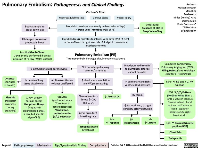 Pulmonary Embolism: Pathogenesis and Clinical Findings | Calgary Guide