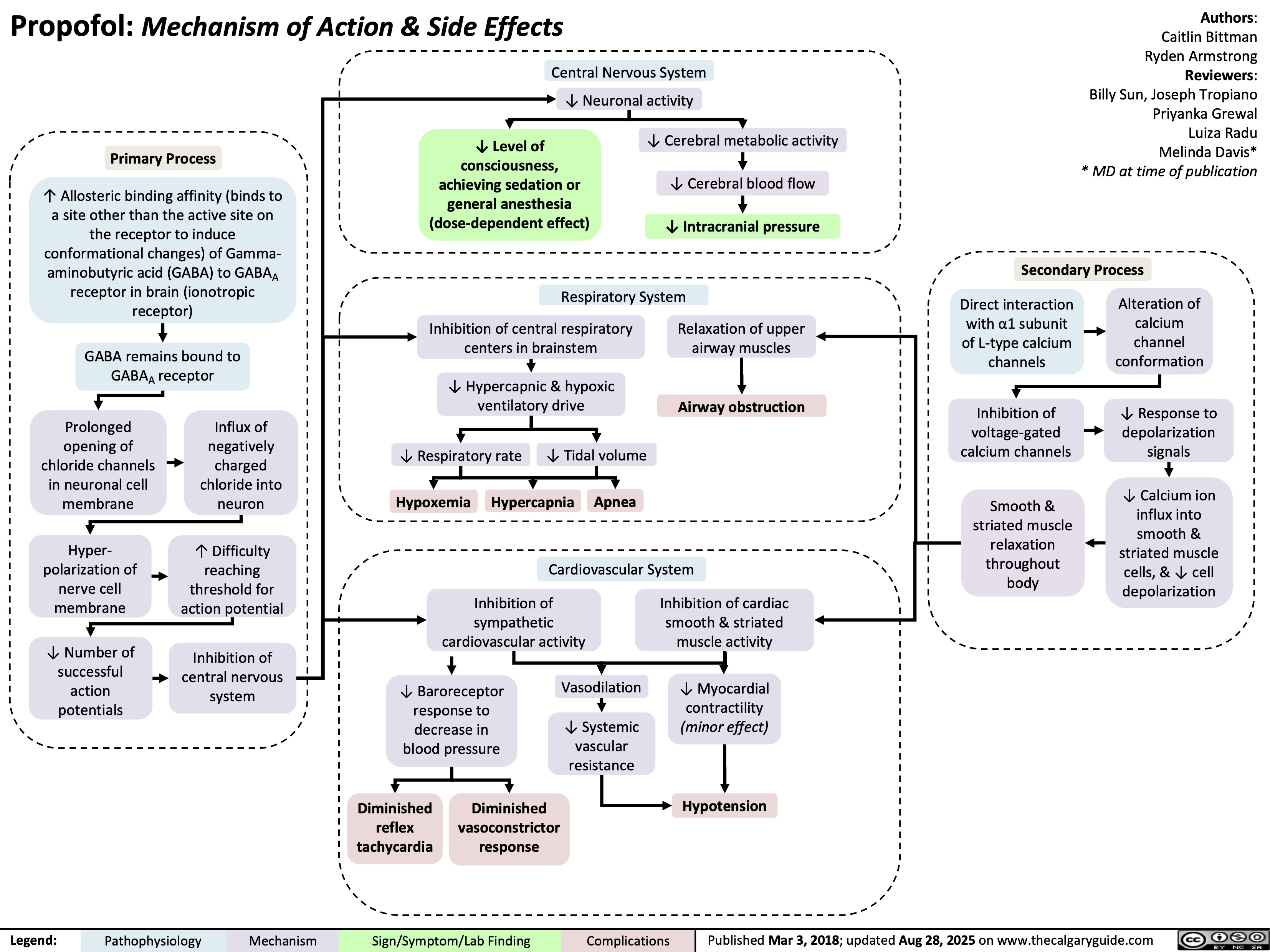 Propofol: Mechanism of Action & Side Effects
Primary Process
↑ Allosteric binding affinity (binds to
a site other than the active site on
the receptor to induce
conformational changes) of Gamma-
aminobutyric acid (GABA) to GABAA
receptor in brain (ionotropic
receptor)
GABA remains bound to
GABAA receptor
Prolonged
opening of
chloride channels
in neuronal cell
membrane
Influx of
negatively
charged
chloride into
neuron
Hyper-
polarization of
nerve cell
membrane
↑ Difficulty
reaching
threshold for
action potential
↓ Number of
successful
action
potentials
Inhibition of
central nervous
system
Central Nervous System
↓ Neuronal activity
↓ Level of
consciousness,
achieving sedation or
general anesthesia
(dose-dependent effect)
↓ Cerebral metabolic activity
↓ Cerebral blood flow
↓ Intracranial pressure
Respiratory System
Inhibition of central respiratory
centers in brainstem
Relaxation of upper
airway muscles
↓ Hypercapnic & hypoxic
ventilatory drive
Airway obstruction
↓ Respiratory rate ↓ Tidal volume
Hypoxemia
Hypercapnia
Apnea
Cardiovascular System
Inhibition of
sympathetic
cardiovascular activity
Inhibition of cardiac
smooth & striated
muscle activity
↓ Baroreceptor
response to
decrease in
blood pressure
Vasodilation
↓ Myocardial
contractility
↓ Systemic
(minor effect)
vascular
resistance
Diminished
reflex
tachycardia
Diminished
vasoconstrictor
response
Hypotension
Authors:
Caitlin Bittman
Ryden Armstrong
Reviewers:
Billy Sun, Joseph Tropiano
Priyanka Grewal
Luiza Radu
Melinda Davis*
* MD at time of publication
Secondary Process
Direct interaction
with α1 subunit
of L-type calcium
channels
Alteration of
calcium
channel
conformation
Inhibition of
voltage-gated
calcium channels
↓ Response to
depolarization
signals
Smooth &
striated muscle
relaxation
throughout
body
↓ Calcium ion
influx into
smooth &
striated muscle
cells, & ↓ cell
depolarization
Legend: Pathophysiology Mechanism
Sign/Symptom/Lab Finding Complications
Published Mar 3, 2018; updated Aug 28, 2025 on www.thecalgaryguide.com