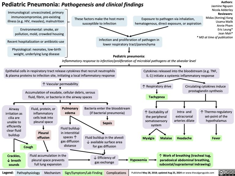 Pediatric Pneumonia: Pathogenesis and clinical findings | Calgary Guide