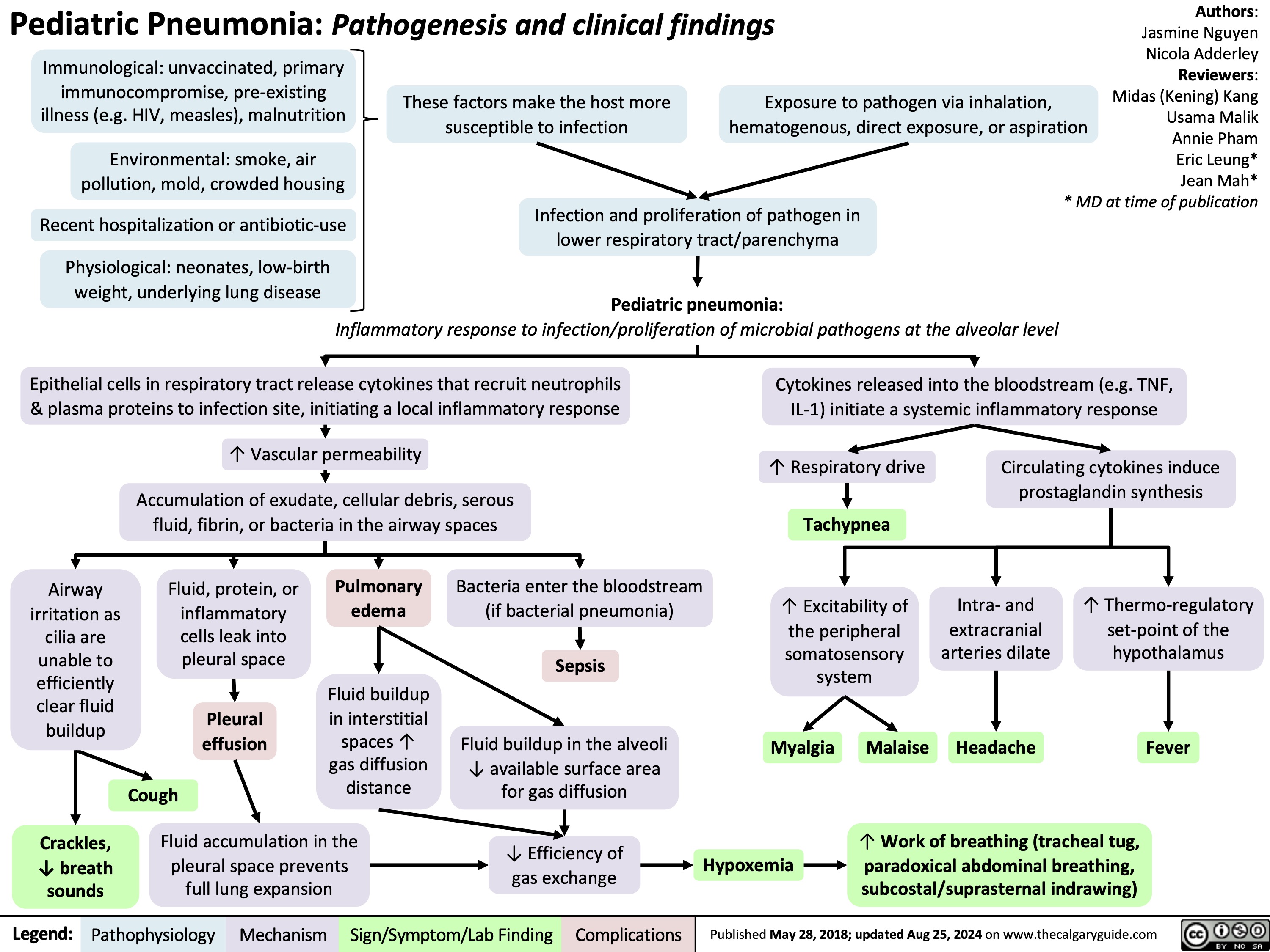 Pediatric Pneumonia: Pathogenesis and clinical findings
Authors: Jasmine Nguyen Nicola Adderley Reviewers: Midas (Kening) Kang Usama Malik Annie Pham Eric Leung* Jean Mah* * MD at time of publication
  Immunological: unvaccinated, primary immunocompromise, pre-existing illness (e.g. HIV, measles), malnutrition
Environmental: smoke, air pollution, mold, crowded housing
Recent hospitalization or antibiotic-use
Physiological: neonates, low-birth weight, underlying lung disease
  These factors make the host more susceptible to infection
Infection and proliferation of pathogen in lower respiratory tract/parenchyma
Pediatric pneumonia:
Inflammatory response to infection/proliferation of microbial pathogens at the alveolar level
Exposure to pathogen via inhalation, hematogenous, direct exposure, or aspiration
           Epithelial cells in respiratory tract release cytokines that recruit neutrophils & plasma proteins to infection site, initiating a local inflammatory response
Cytokines released into the bloodstream (e.g. TNF, IL-1) initiate a systemic inflammatory response
   ↑ Vascular permeability
Accumulation of exudate, cellular debris, serous fluid, fibrin, or bacteria in the airway spaces
↑ Respiratory drive
Tachypnea
↑ Excitability of the peripheral somatosensory system
Circulating cytokines induce prostaglandin synthesis
          Airway irritation as cilia are unable to efficiently clear fluid buildup
Crackles, ↓ breath sounds
Fluid, protein, or inflammatory cells leak into pleural space
Pleural effusion
Pulmonary edema
Fluid buildup in interstitial spaces ↑ gas diffusion distance
Bacteria enter the bloodstream (if bacterial pneumonia)
Sepsis
Fluid buildup in the alveoli ↓ available surface area for gas diffusion
↓ Efficiency of gas exchange
Intra- and extracranial arteries dilate
Headache
↑ Thermo-regulatory set-point of the hypothalamus
Fever
             Myalgia
Hypoxemia
Malaise
    Cough
    Fluid accumulation in the pleural space prevents full lung expansion
↑ Work of breathing (tracheal tug, paradoxical abdominal breathing, subcostal/suprasternal indrawing)
    Legend:
 Pathophysiology
 Mechanism
Sign/Symptom/Lab Finding
 Complications
 Published May 28, 2018; updated Aug 25, 2024 on www.thecalgaryguide.com
  
Pediatric Pneumonia: Pathogenesis and clinical findings
Authors: Jasmine Nguyen Nicola Adderley Reviewers: Midas (Kening) Kang Usama Malik Annie Pham Eric Leung* * MD at time of publication
   Immunological: unvaccinated, primary immunocompromise, pre-existing illness (e.g. HIV, measles), malnutrition
Environmental: smoke, air pollution, mold, crowded housing
Recent Hospitalization: length of stay, recent antibiotics, mechanical ventilation
Physiological: neonates, low-birth weight, underlying lung disease (ciliary dysfunction, asthma, cystic fibrosis, bronchiectasis)
Host is more susceptible to infection
Exposure to pathogen:
inhalation, hematogenous, direct, aspiration
       Infection and proliferation of pathogen in lower respiratory tract/parenchyma
Pediatric pneumonia:
Inflammatory response to infection/proliferation of microbial pathogens at the alveolar level
Notes:
• Additional findings in pediatric pneumonia may include increased
irritability, nausea/vomiting, diarrhea,
otitis, and headache
• Viral pathogens most common in
children <2yrs; bacterial pathogens most common in children >2yrs
      Local inflammatory response: epithelial cells release cytokines in response to infection, which recruit neutrophils and plasma proteins to site of infection
↑ Vascular permeability causes accumulation of plasma exudate, cellular debris, serous fluid, fibrin, or bacteria in the airway spaces
Systemic inflammatory response:
Cytokine release (eg. TNF, IL-1)
↑ respiratory drive
          Airway irritation as cilia are unable to efficiently clear fluid buildup
Crackles, ↓ breath sounds
Fluid, protein, or inflammatory
cells leak into pleural space
Pleural effusion
Pulmonary edema
Fluid buildup in interstitial spaces increases gas diffusion distance
Fluid buildup in the alveoli decreases
available surface area for gas diffusion
↓ efficiency of gas exchange
Bacteria invade into the bloodstream (if bacterial pneumonia)
Sepsis
Hypoxemia
Circulating cytokines induce prostaglandin synthesis, which raise the thermoregulatory set-point of the hypothalamus
paradoxical abdominal breathing, subcostal/suprasternal indrawing)
            Fever
    Cough
Fluid accumulation in the pleural space prevents full
lung expansion, resulting in ↓ lung volumes
Tachypnea
↑ Work of breathing (tracheal tug,
      Legend:
 Pathophysiology
 Mechanism
Sign/Symptom/Lab Finding
 Complications
Published Month Day, Year on www.thecalgaryguide.com
   
Pediatric Pneumonia: Pathogenesis and clinical findings
Immunological: immunization status, immune compromise
Environmental: second-hand smoke, air pollution
Hospitalization: length of stay, recent antibiotics, mechanical ventilation
Neonates, immunocompromise, underlying lung disease (ciliary dysfunction, Cystic Fibrosis, bronchiectasis)
Authors: Nicola Adderley Reviewers: Midas (Kening) Kang Usama Malik Eric Leung* * MD at time of publication
Additional findings in pediatric pneumonia may include nausea, otitis, headache
Viral pathogens most common in children <2yrs; bacterial pathogens most common in children >2yrs
Interstitial pattern: suspect Mycoplasma pneumoniae, Influenza A + B, Parainfluenza Lobar pattern: suspect S. pneumonia, H. influenzae, Moraxella, S. aureus
Systemic inflammatory response:
Cytokine release (eg. TNF, IL-1)
  Exposure to pathogen: inhalation, hematogenous, direct, aspiration
Susceptible host and/or virulent pathogen
Infection and proliferation of pathogen in lower respiratory tract/parenchyma
Pediatric pneumonia:
Inflammatory response to proliferation of microbial pathogens at the alveolar level
Notes:
     • •
• •
        Local inflammatory response: neutrophils recruited to site of infection (LOBAR or INTERSTITIAL PATTERN, depending on pathogen) by epithelial cytokine release
      Irritation of contiguous structures and/or referred pain (mechanism unclear)
Acute abdominal pain
Cough
Accumulation of plasma exudate (from capillary leakage at sites of inflammation), cell-debris, serous fluid, bacteria, fibrin
↑ respiratory drive
Disruption of hypothalamic thermoregulation
Fever/chills
         Irritation of airways and failure of ciliary clearance to keep up with fluid buildup
Crackles, ↓ breath sounds
Fluid buildup in spaces between
alveoli (INTERSTITIAL PATTERN)
Interstitial opacity on CXR
Fluid buildup in alveoli (LOBAR PATTERN)
↓ efficiency of gas exchange (↑ diffusion distance in INTERSTITIAL, ↓ surface area in LOBAR)
Hypoxemia
       Tachypnea
          Lobar consolidation on CXR
Respiratory accessory muscle use (chest indrawing, paradoxical breathing, muscle retractions)
     Legend:
 Pathophysiology
 Mechanism
Sign/Symptom/Lab Finding
 Complications
Published May 28, 2018 on www.thecalgaryguide.com
   gin
