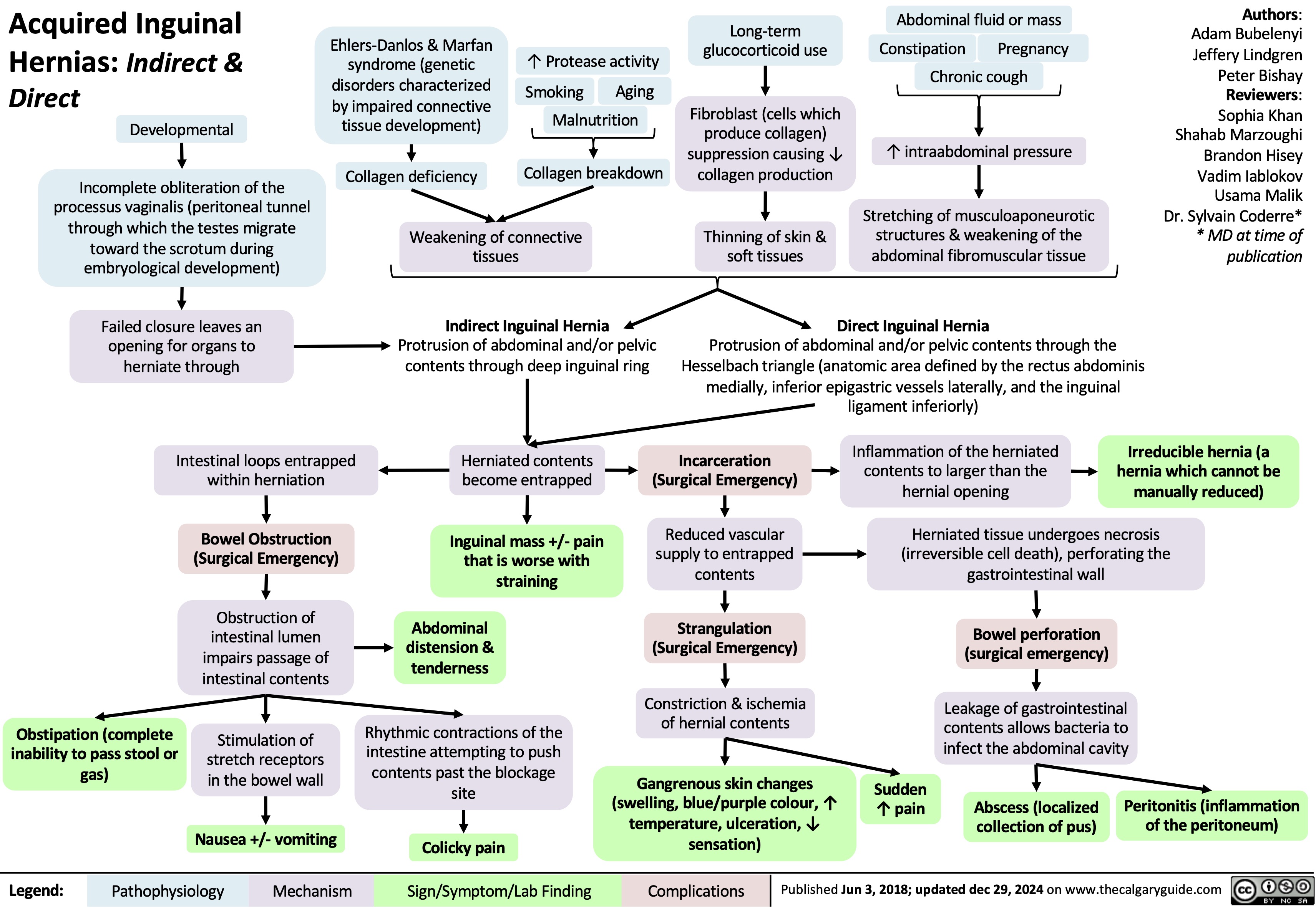 Acquired Inguinal
Hernias: Indirect &
Direct
Abdominal fluid or mass Constipation Pregnancy
Chronic cough
↑ intraabdominal pressure
Stretching of musculoaponeurotic structures & weakening of the abdominal fibromuscular tissue
Direct Inguinal Hernia
Authors: Adam Bubelenyi Jeffery Lindgren Peter Bishay Reviewers: Sophia Khan Shahab Marzoughi Brandon Hisey Vadim Iablokov Usama Malik Dr. Sylvain Coderre* * MD at time of publication
             Developmental
Ehlers-Danlos & Marfan syndrome (genetic disorders characterized by impaired connective tissue development)
Collagen deficiency
↑ Protease activity Smoking Aging
Malnutrition Collagen breakdown
Long-term glucocorticoid use
Fibroblast (cells which produce collagen) suppression causing ↓ collagen production
Thinning of skin & soft tissues
     Incomplete obliteration of the processus vaginalis (peritoneal tunnel through which the testes migrate toward the scrotum during embryological development)
Failed closure leaves an opening for organs to herniate through
Intestinal loops entrapped within herniation
Weakening of connective tissues
Indirect Inguinal Hernia
Protrusion of abdominal and/or pelvic contents through deep inguinal ring
Protrusion of abdominal and/or pelvic contents through the Hesselbach triangle (anatomic area defined by the rectus abdominis medially, inferior epigastric vessels laterally, and the inguinal ligament inferiorly)
               Herniated contents become entrapped
Inguinal mass +/- pain that is worse with straining
Abdominal distension & tenderness
Rhythmic contractions of the intestine attempting to push contents past the blockage site
Colicky pain
Incarceration (Surgical Emergency)
Reduced vascular supply to entrapped contents
Strangulation (Surgical Emergency)
Constriction & ischemia of hernial contents
Gangrenous skin changes (swelling, blue/purple colour, ↑ temperature, ulceration, ↓ sensation)
Inflammation of the herniated contents to larger than the hernial opening
Irreducible hernia (a hernia which cannot be manually reduced)
     Bowel Obstruction (Surgical Emergency)
Obstruction of intestinal lumen impairs passage of intestinal contents
Stimulation of stretch receptors in the bowel wall
Nausea +/- vomiting
Herniated tissue undergoes necrosis (irreversible cell death), perforating the gastrointestinal wall
          Obstipation (complete inability to pass stool or gas)
Bowel perforation (surgical emergency)
Leakage of gastrointestinal contents allows bacteria to infect the abdominal cavity
     Sudden ↑ pain
Abscess (localized collection of pus)
Peritonitis (inflammation of the peritoneum)
     Legend:
 Pathophysiology
 Mechanism
 Sign/Symptom/Lab Finding
 Complications
 Published Jun 3, 2018; updated dec 29, 2024 on www.thecalgaryguide.com
 