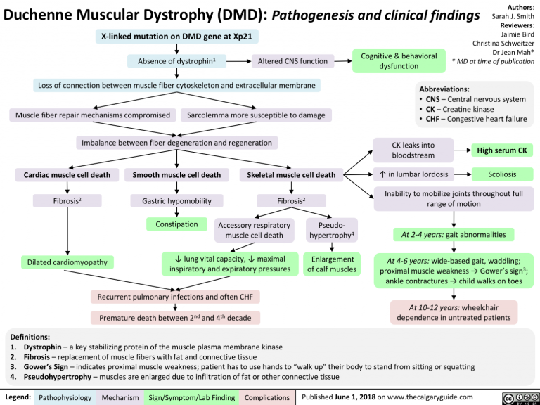 Duchenne Muscular Dystrophy (DMD) | Calgary Guide