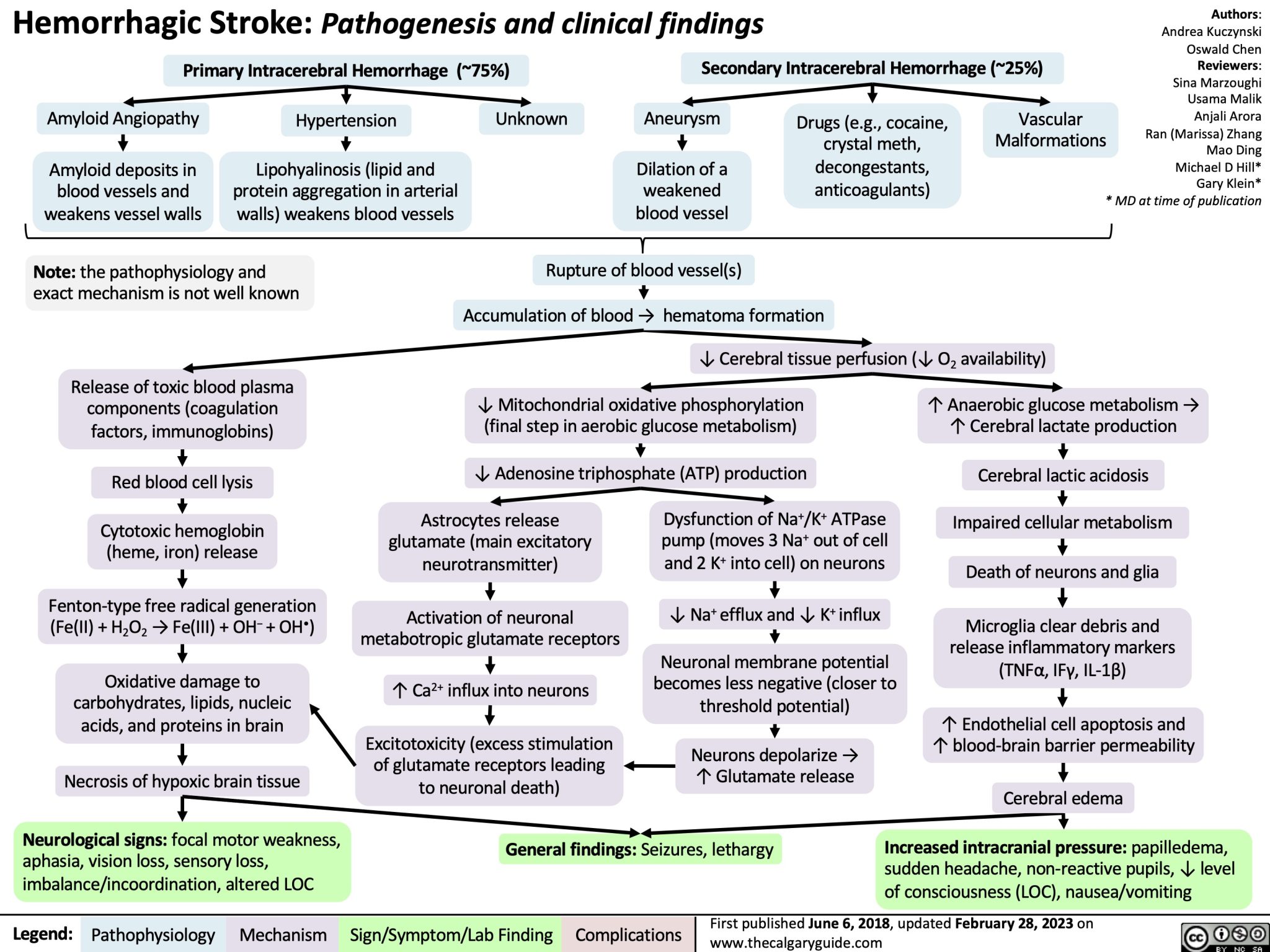 Hemorrhagic Stroke: Pathogenesis and Clinical Findings | Calgary Guide