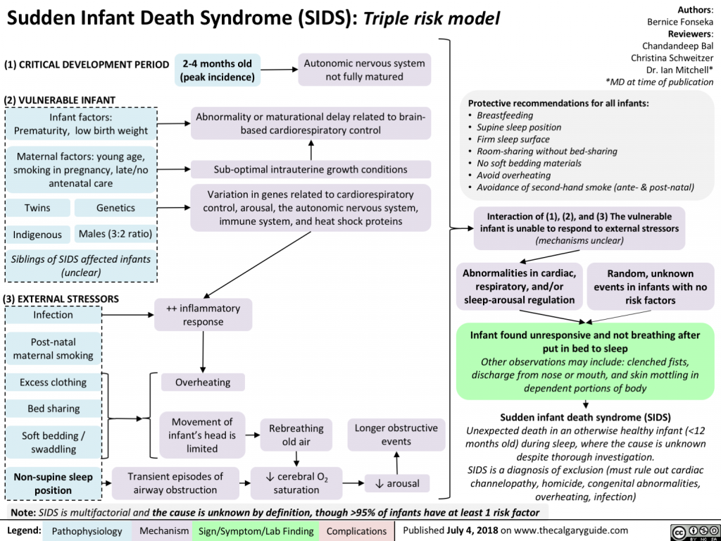 Sudden Infant Death Syndrome Sids Calgary Guide Sudden Infant Death Syndrome Sids Calgary Guide