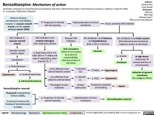Benzodiazepine Mechanism of Action
