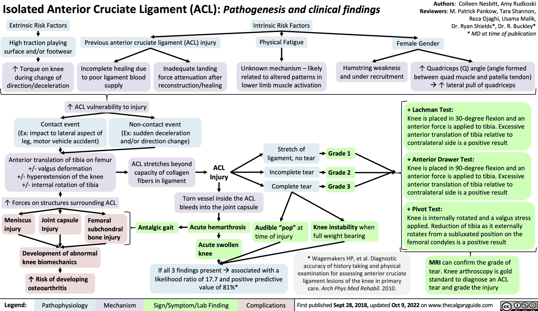 isolated-anterior-cruciate-ligament-acl-injury-pathogenesis-and ...