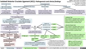isolated-anterior-cruciate-ligament-acl-injury-pathogenesis-and-clinical-findings